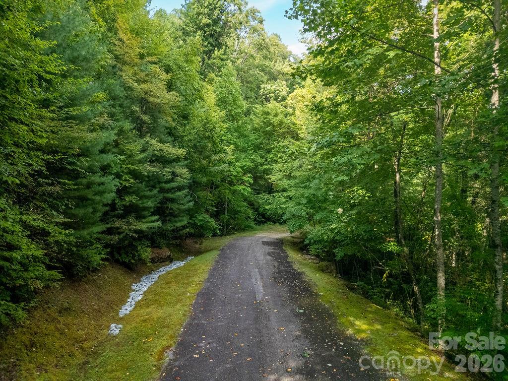 Lot at Lot 51 Waddle Branch Road, Sapphire, photo 5 of 13