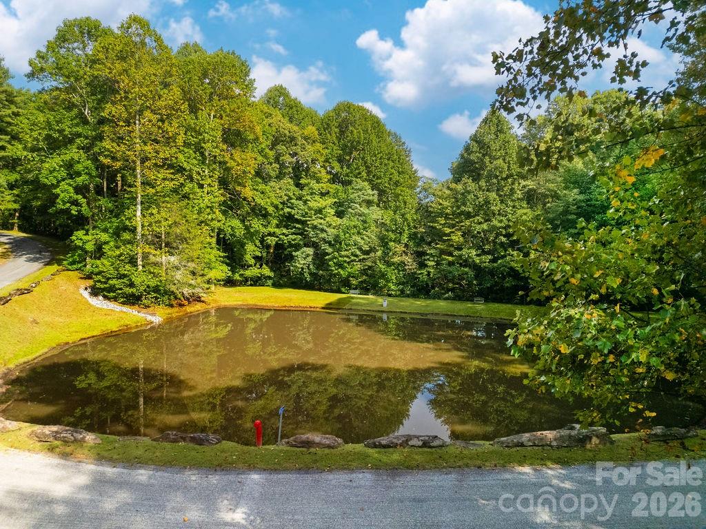 Lot at Lot 51 Waddle Branch Road, Sapphire, photo 8 of 13