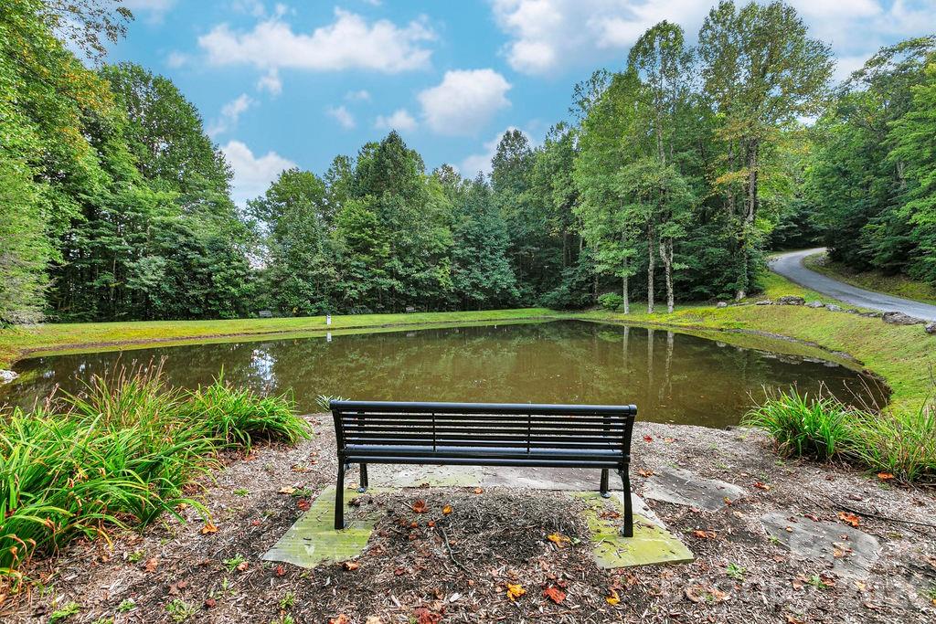 Lot at Lot 51 Waddle Branch Road, Sapphire, photo 10 of 13