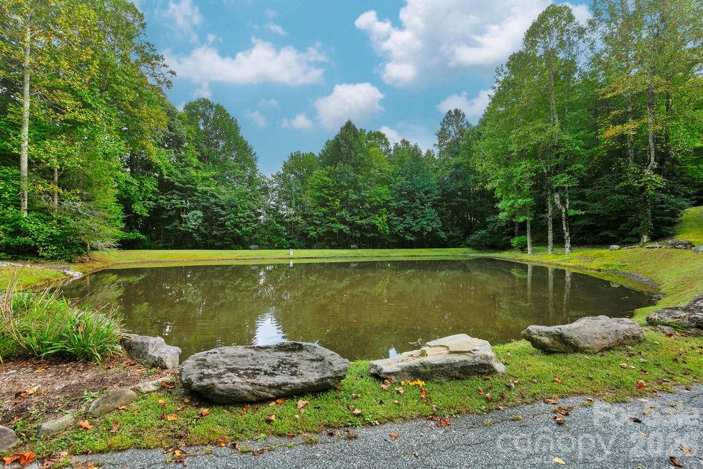 Lot at Lot 51 Waddle Branch Road, Sapphire, photo 11 of 13