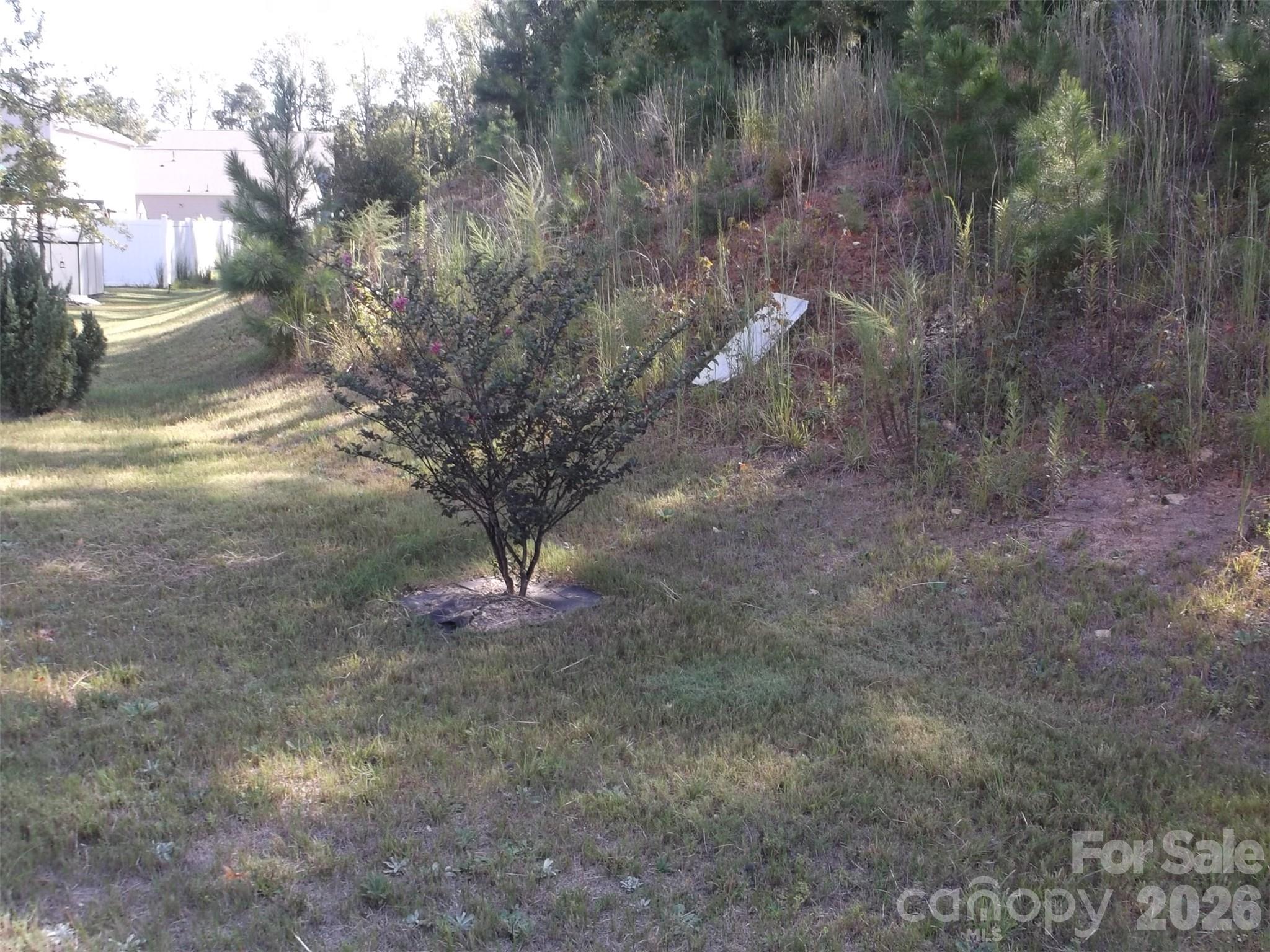 Single Family Residence at 214 Wildflower Drive, Locust, photo 3 of 23