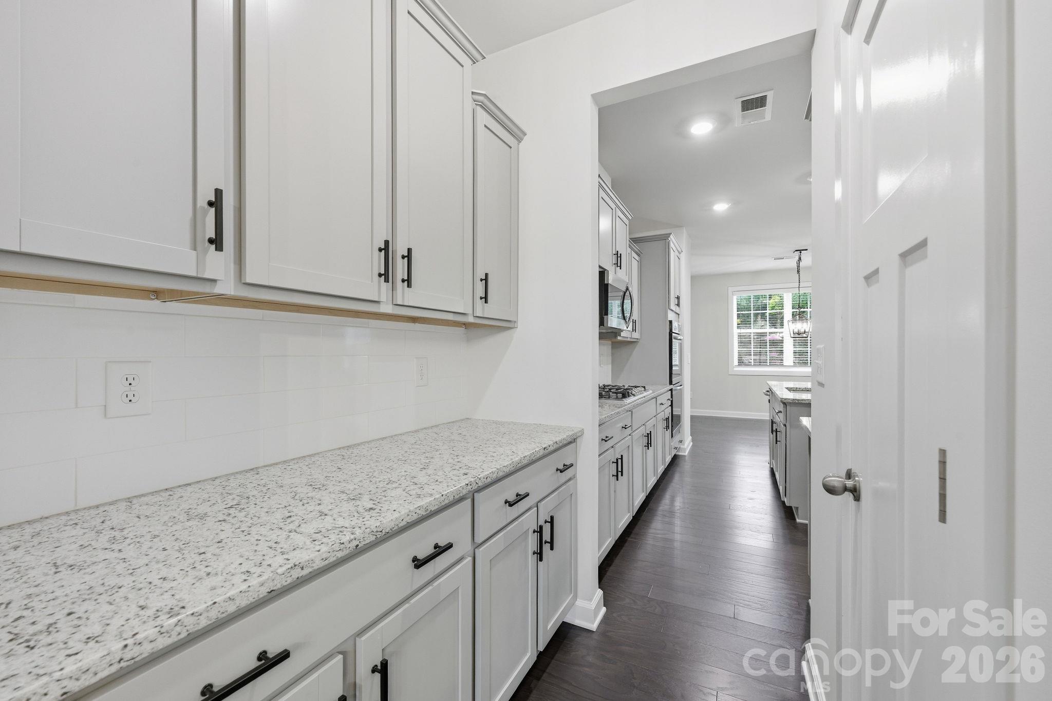 Single Family Residence at 445 Hudson Place, Davidson, photo 10 of 45