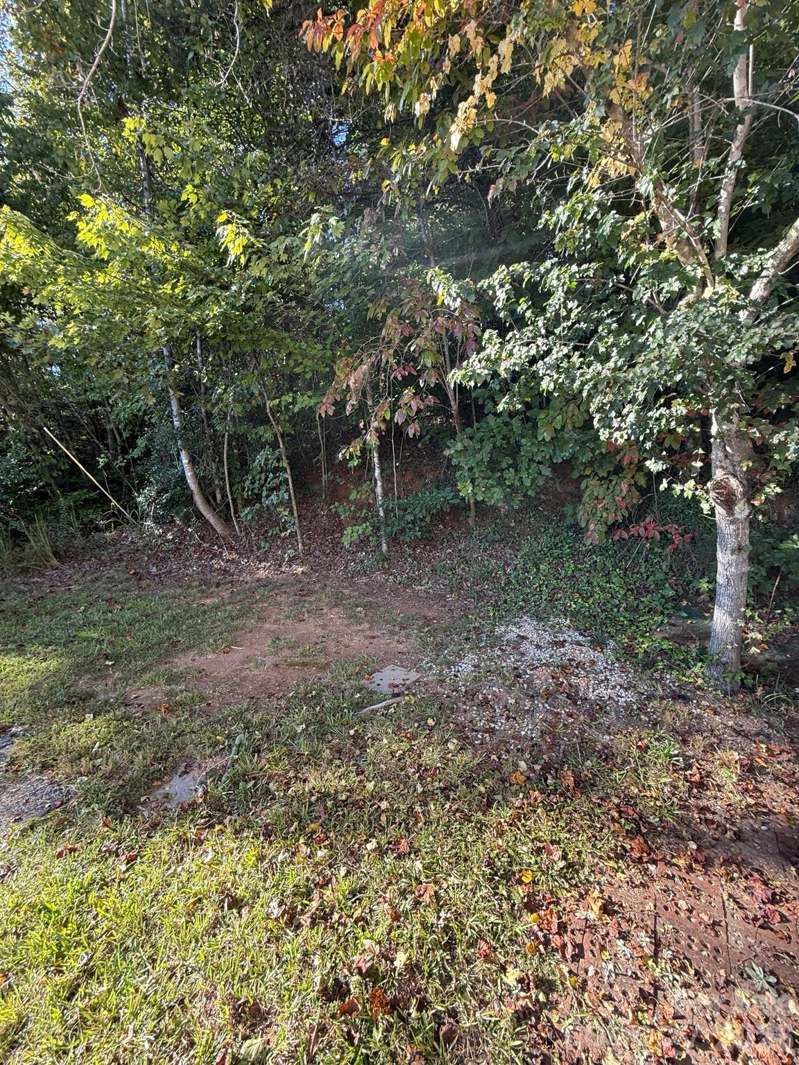 Back - 1516 Abington Road, Lenoir