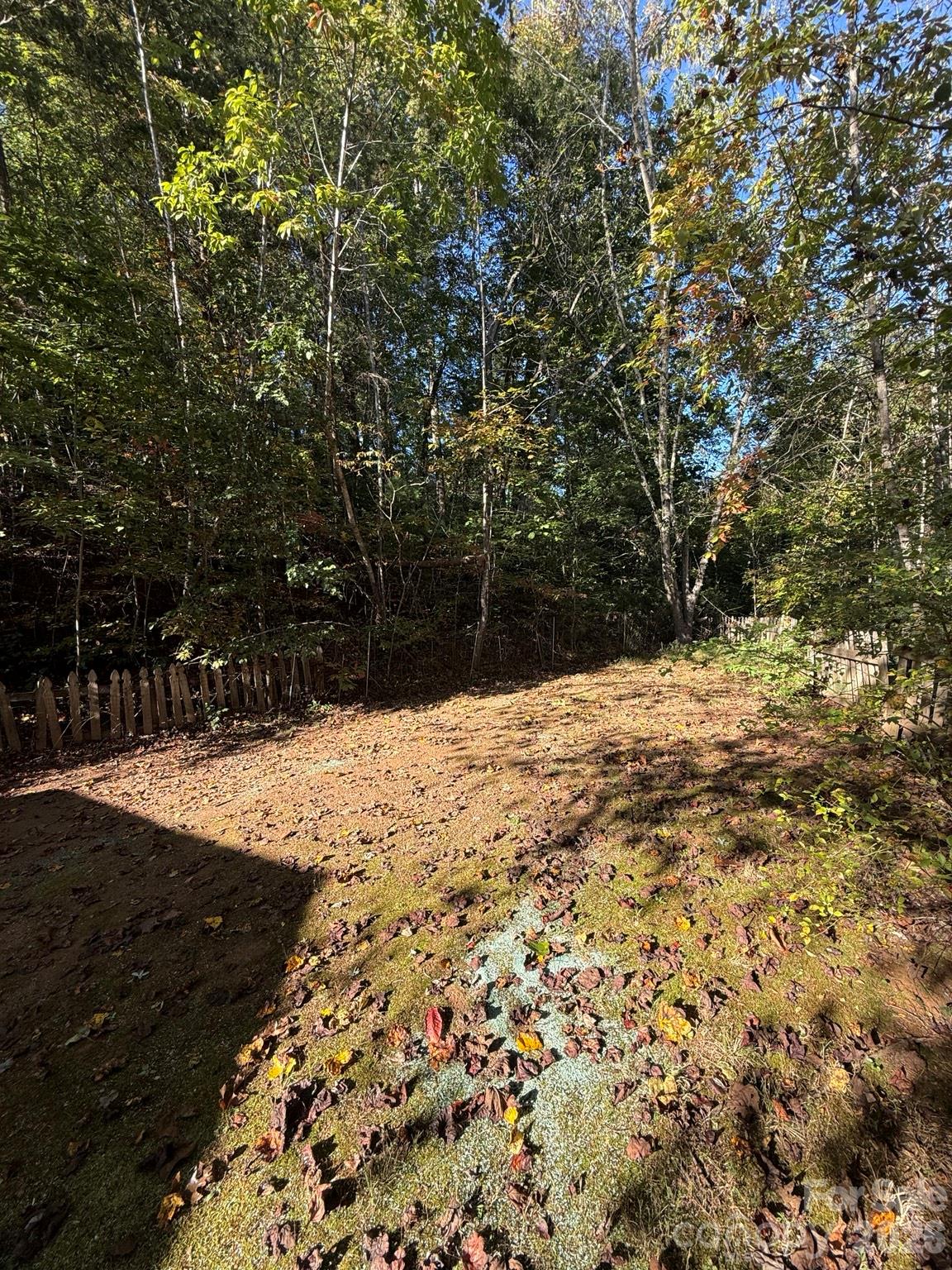 Back Yard - 1516 Abington Road, Lenoir