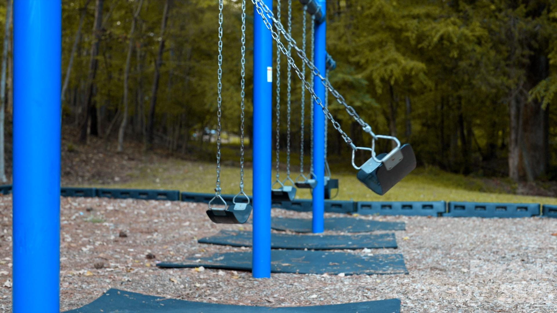 Community swing set - 717 Fredricksburg Road, Matthews