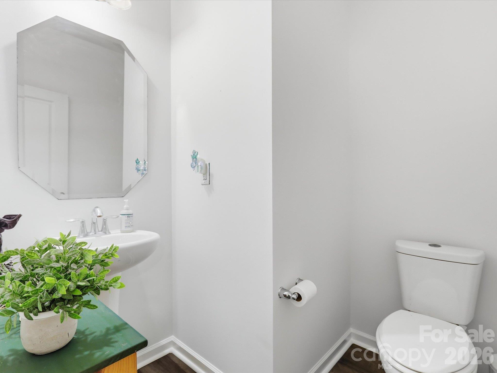 Powder room downstairs - 2104 Argentum Avenue, Indian Land