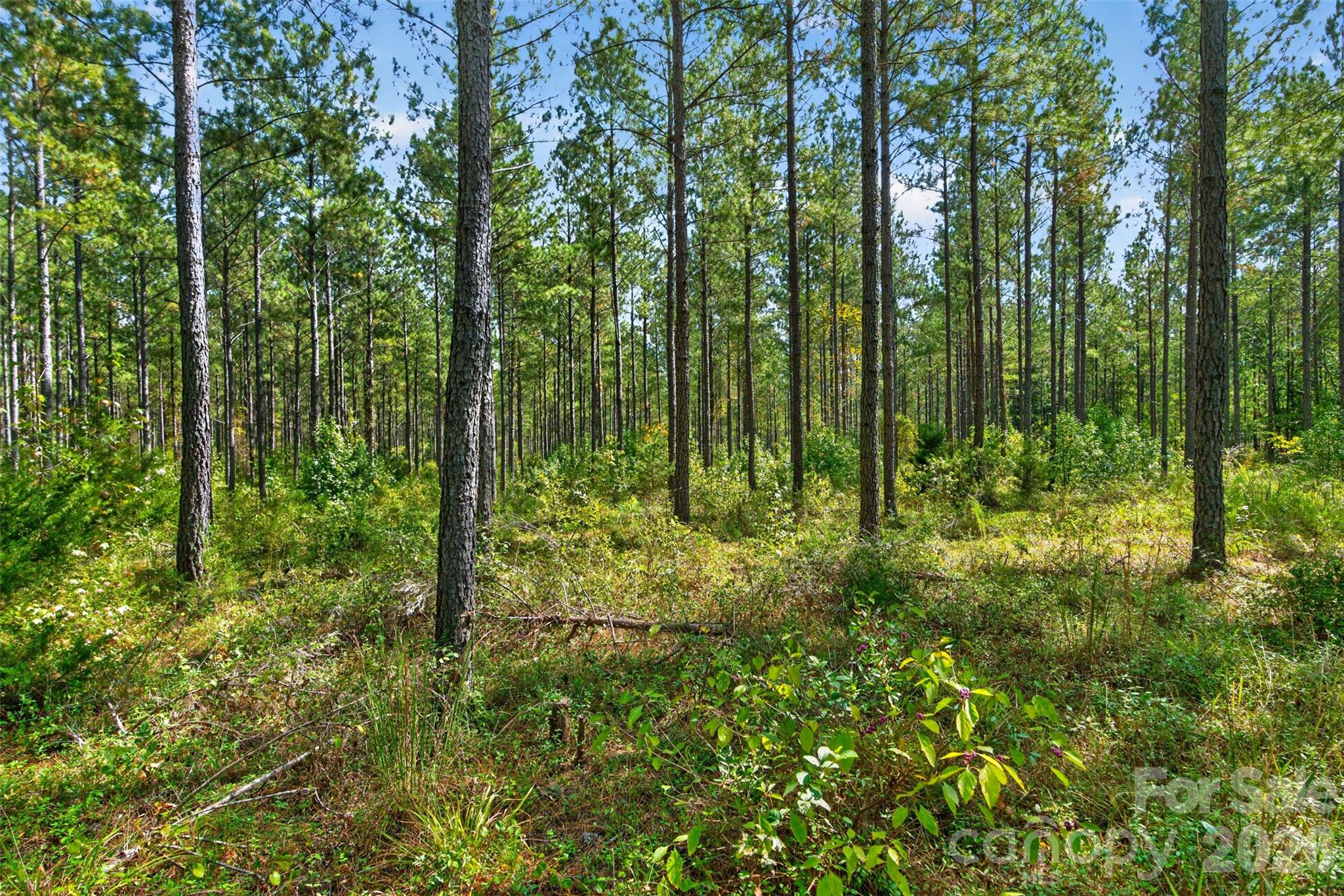 Acreage at 0000 Garvin Road, York, photo 4 of 36