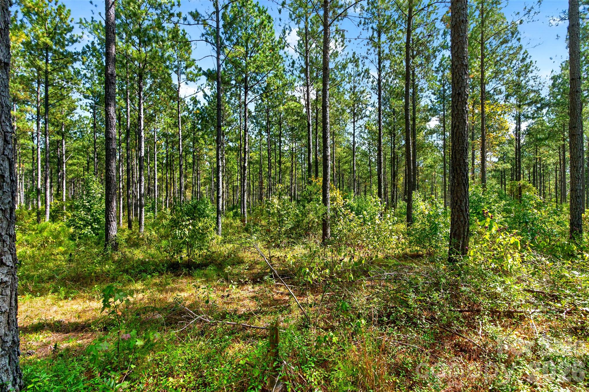 Acreage at 0000 Garvin Road, York, photo 5 of 36