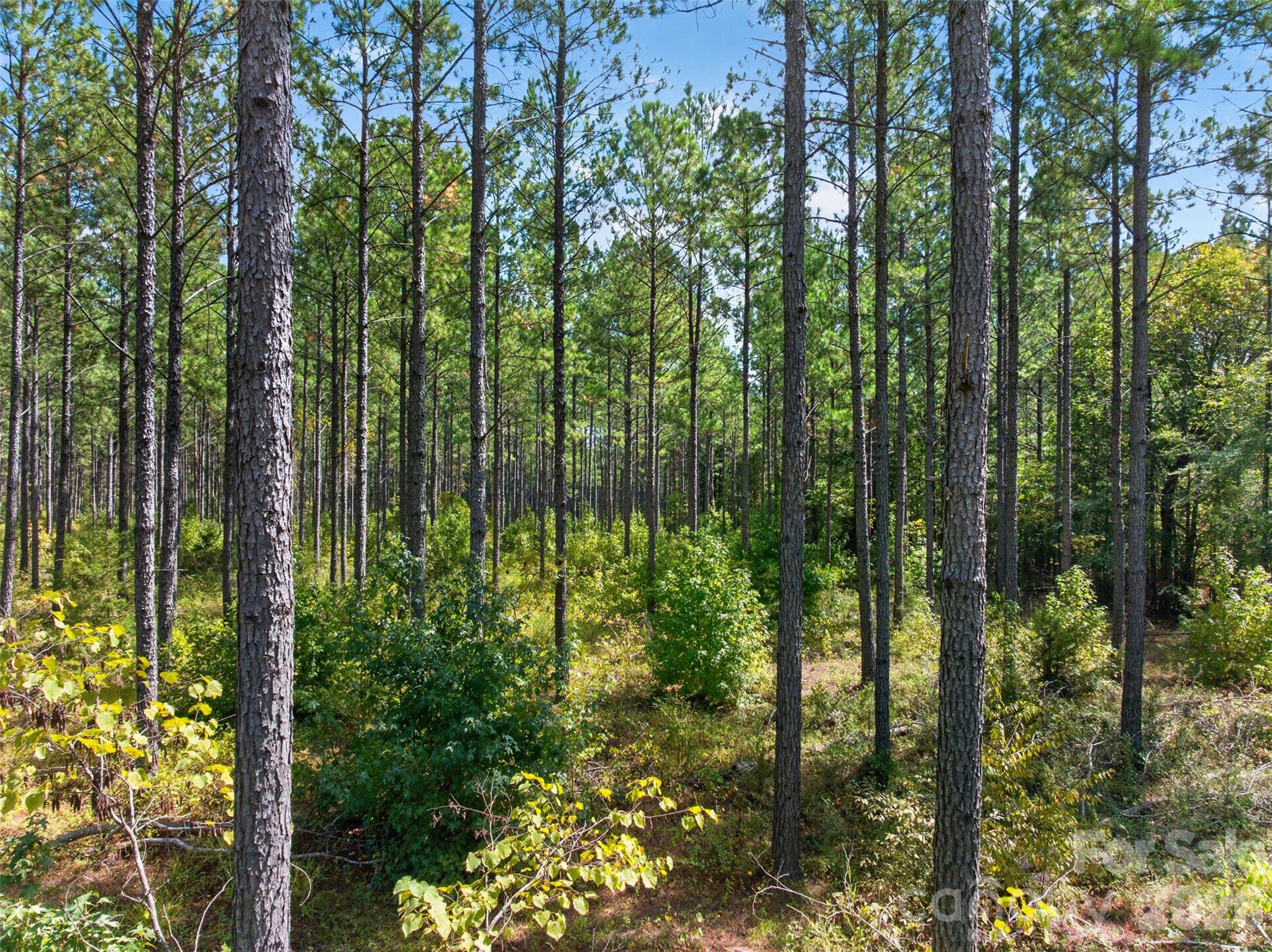 Acreage at 0000 Garvin Road, York, photo 7 of 36
