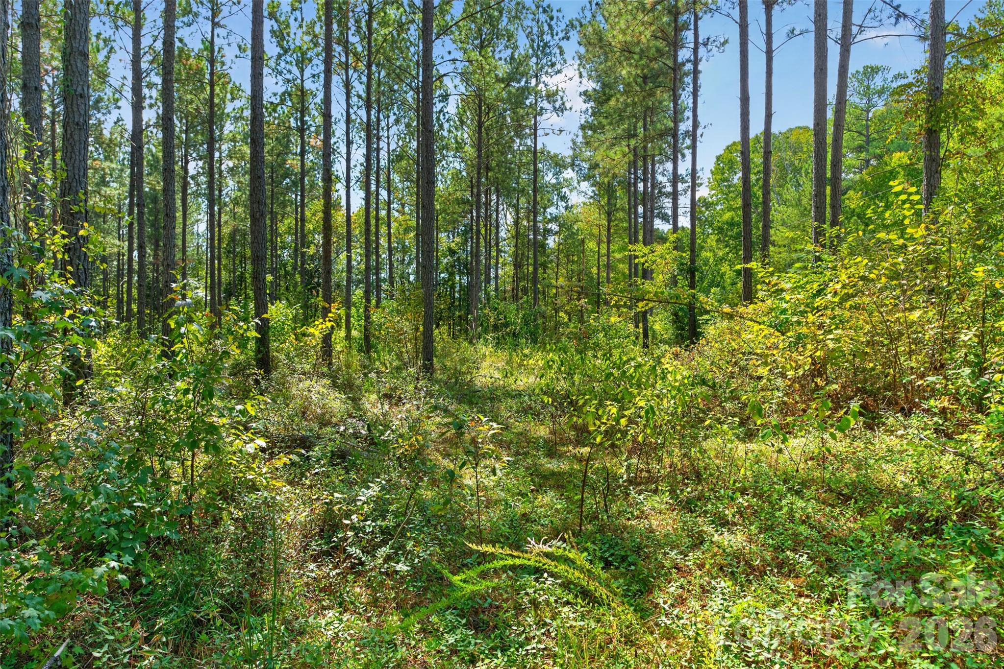 Acreage at 0000 Garvin Road, York, photo 9 of 36
