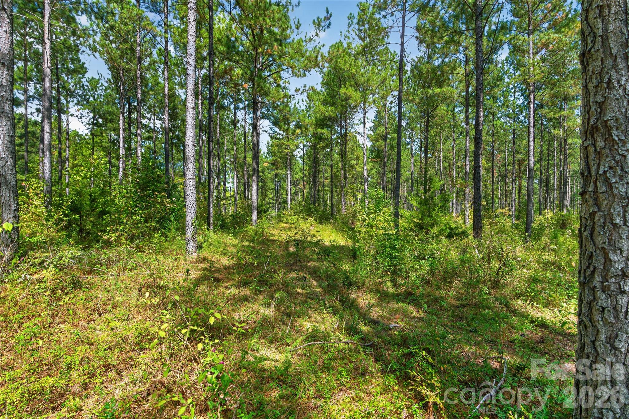 Acreage at 0000 Garvin Road, York, photo 13 of 36