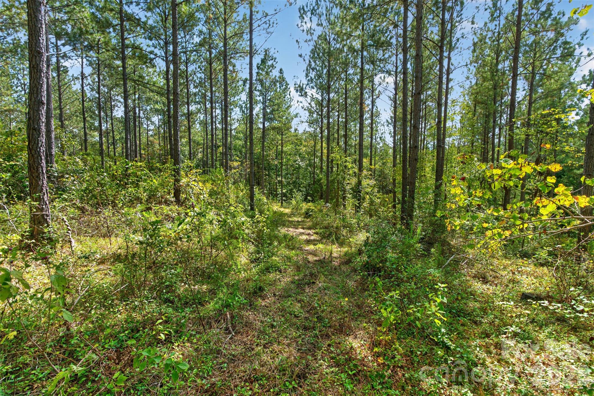 Acreage at 0000 Garvin Road, York, photo 16 of 36