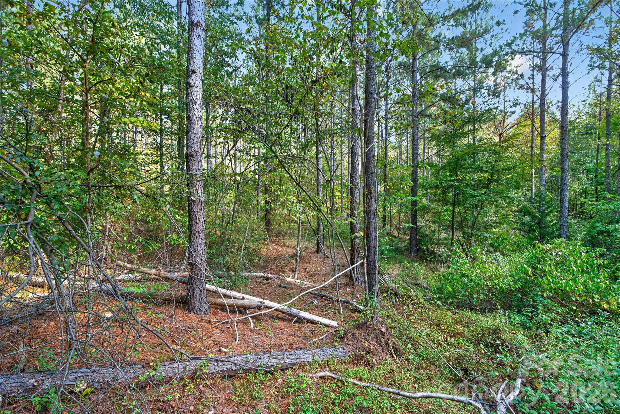 Acreage at 0000 Garvin Road, York, photo 18 of 36
