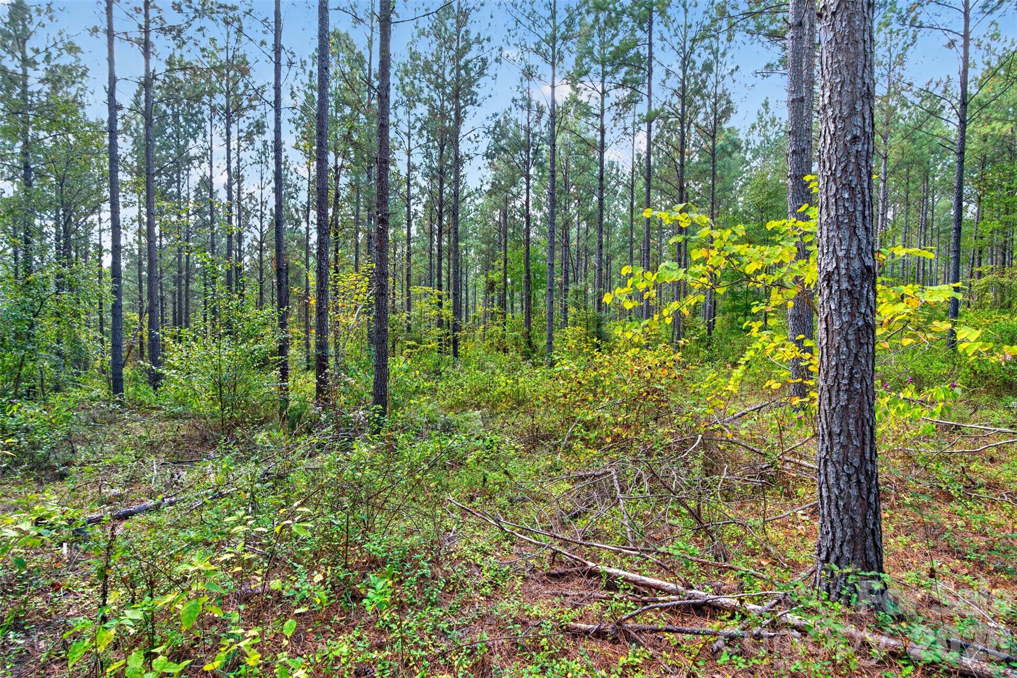 Acreage at 0000 Garvin Road, York, photo 24 of 36