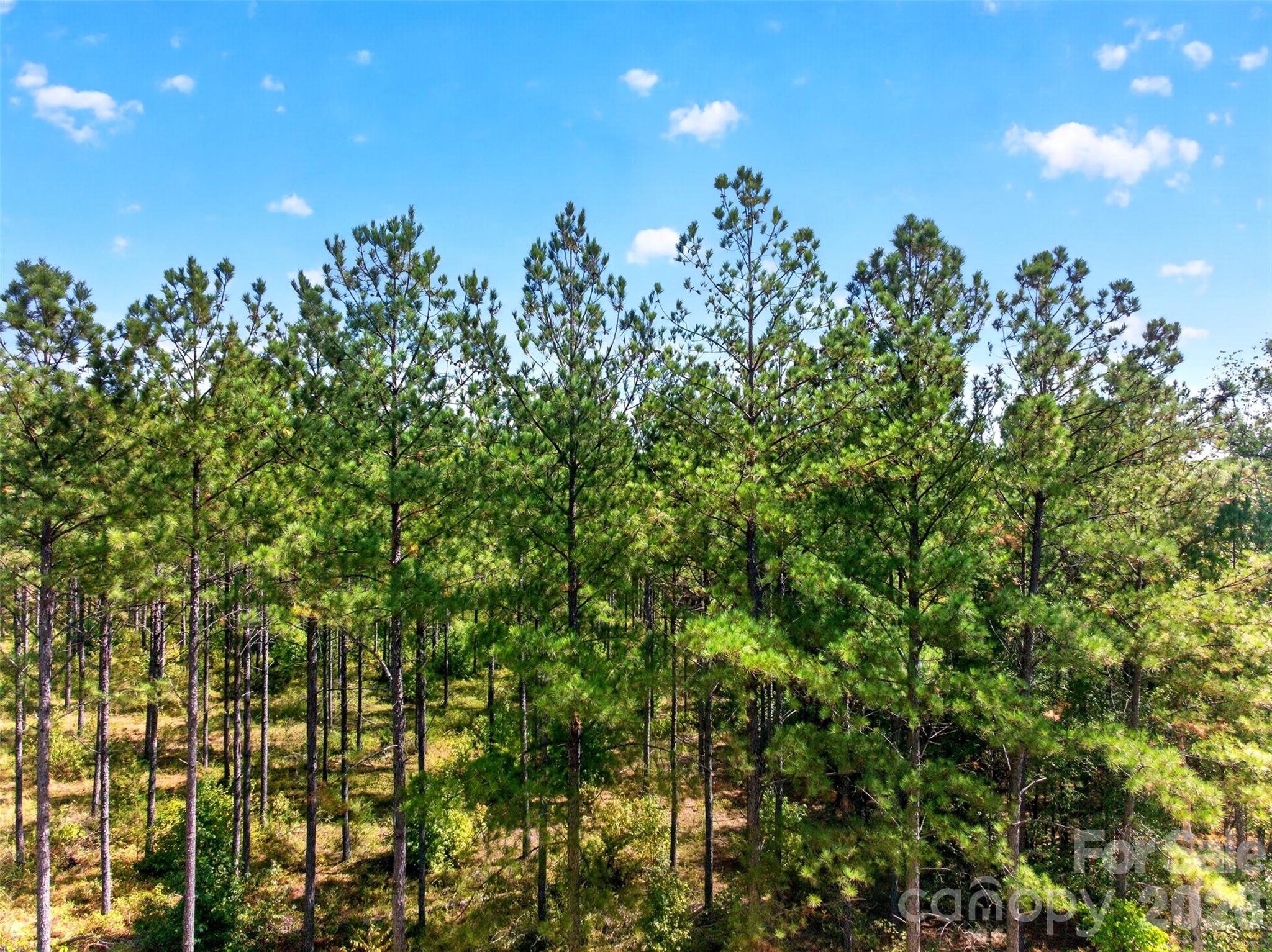 Acreage at 0000 Garvin Road, York, photo 28 of 36