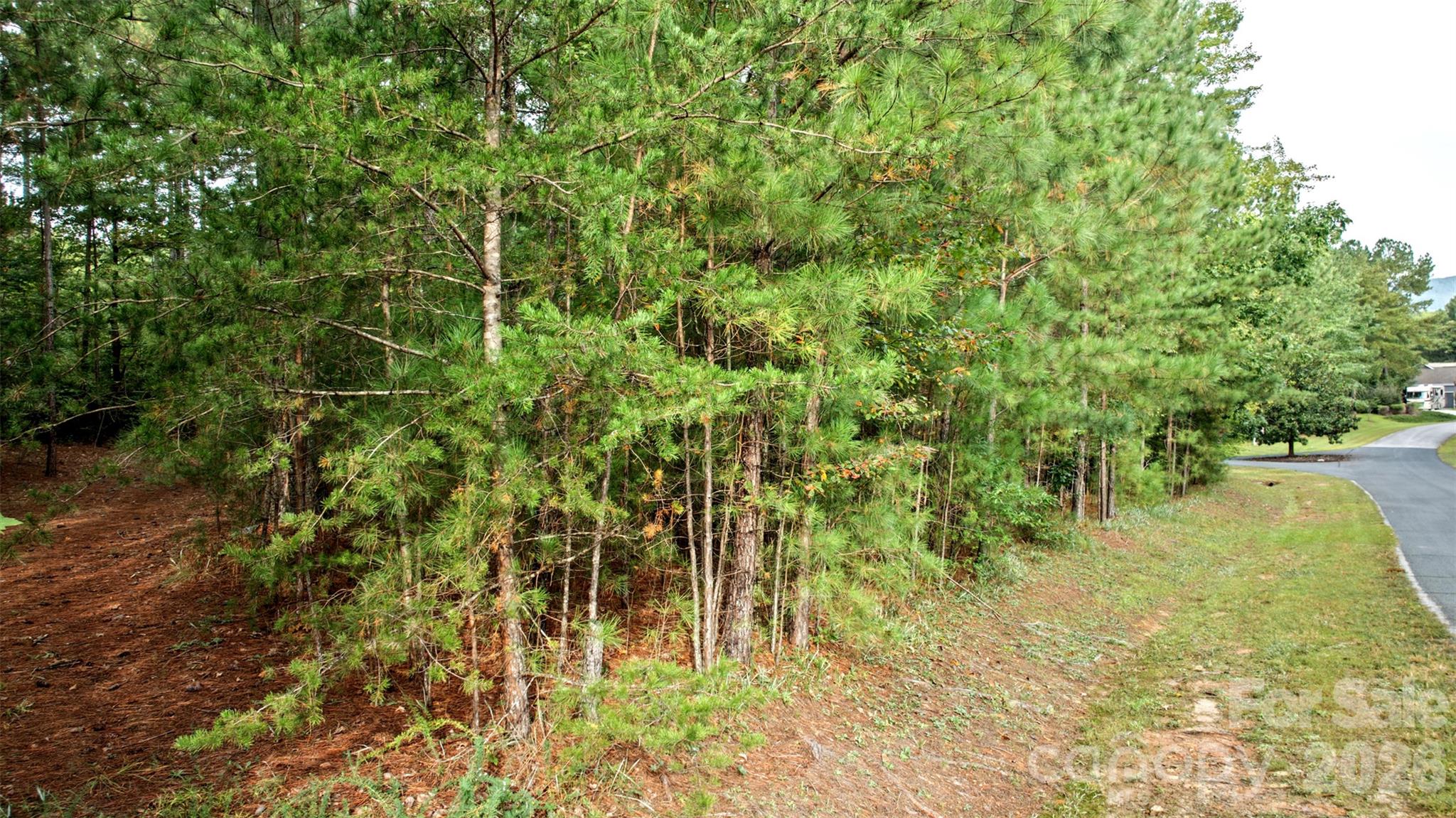 Lot at 0 River Park Lane, Mill Spring, photo 9 of 48
