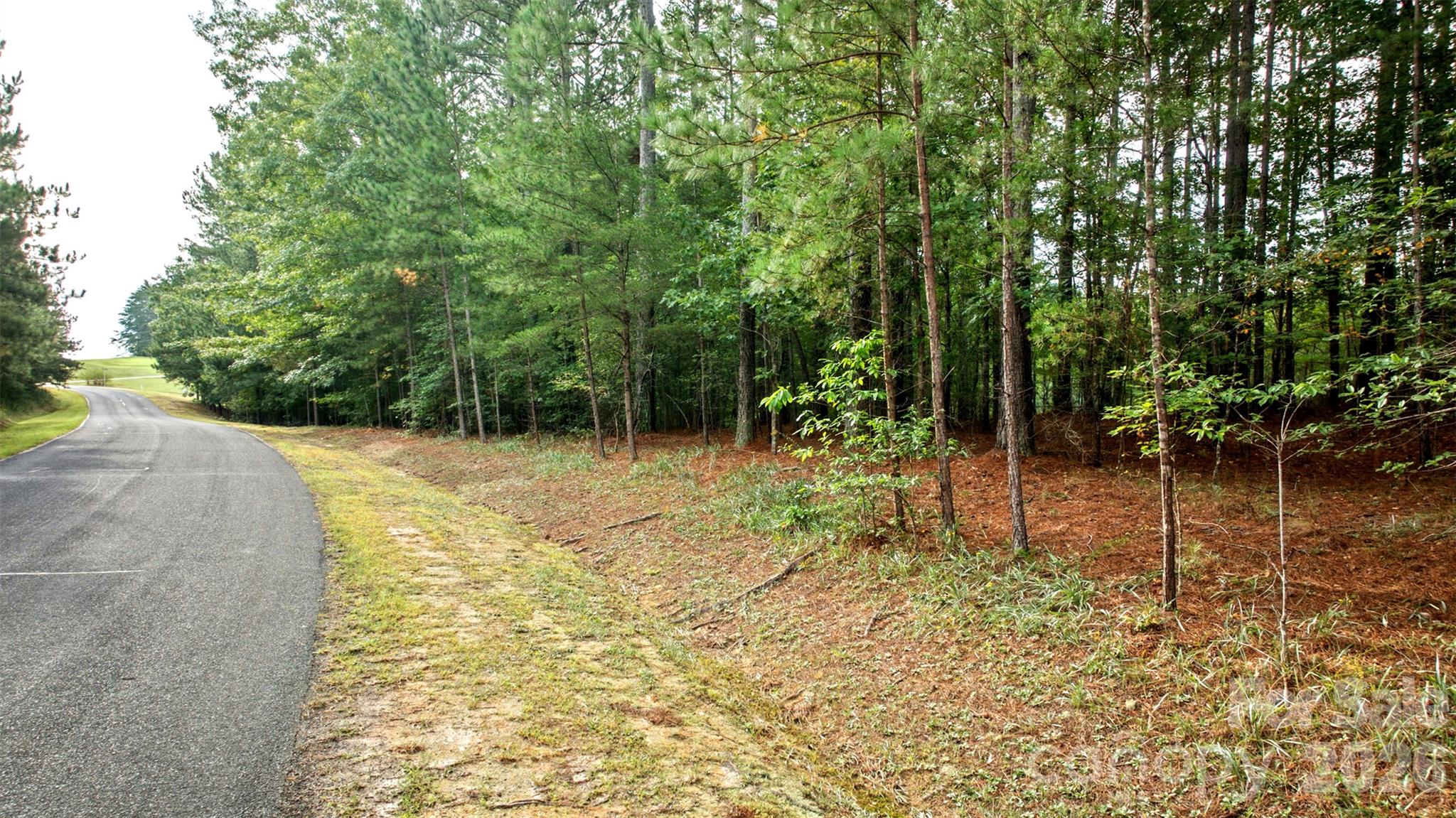 Lot at 0 River Park Lane, Mill Spring, photo 10 of 48