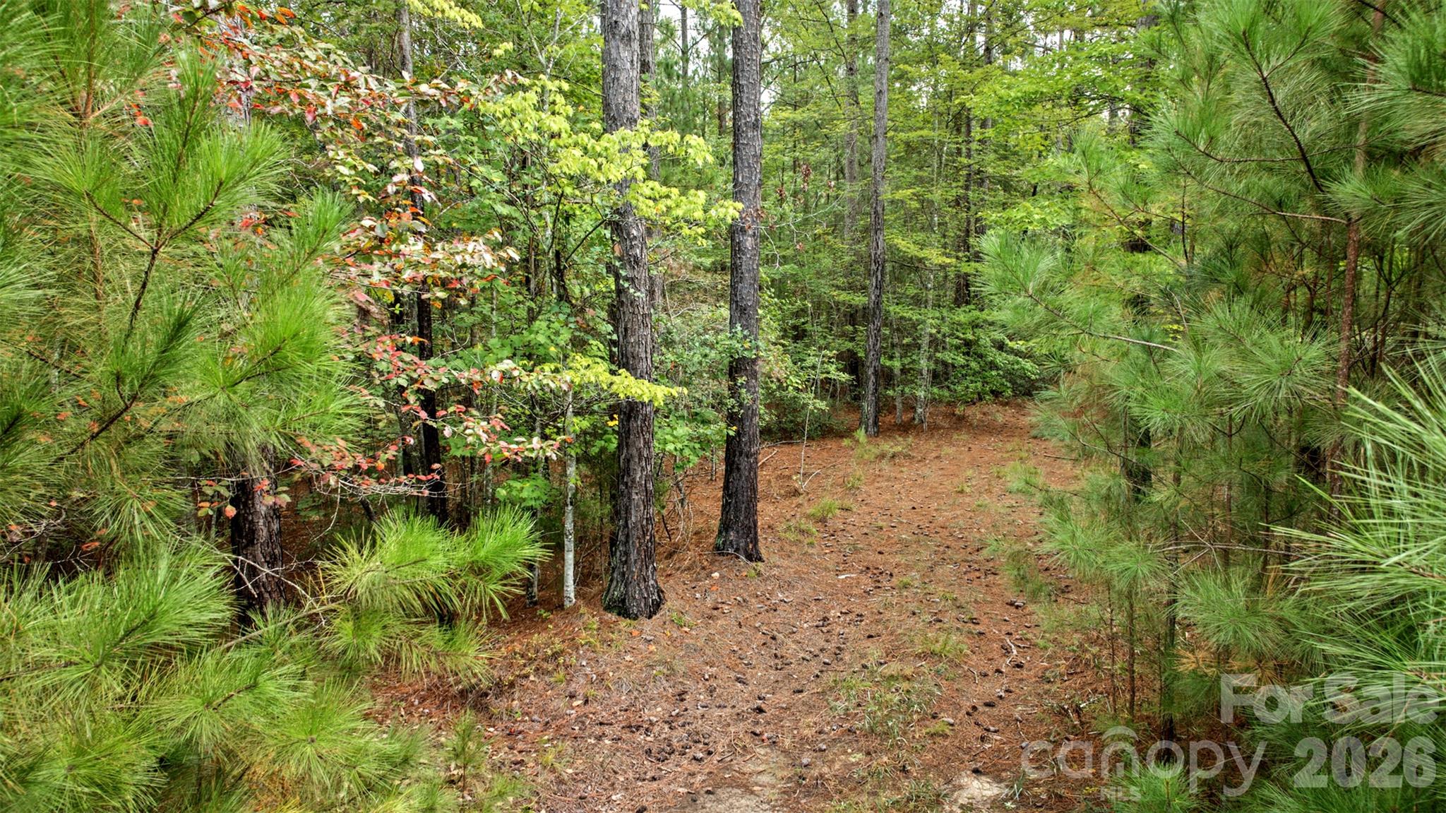 Lot at 0 River Park Lane, Mill Spring, photo 11 of 48