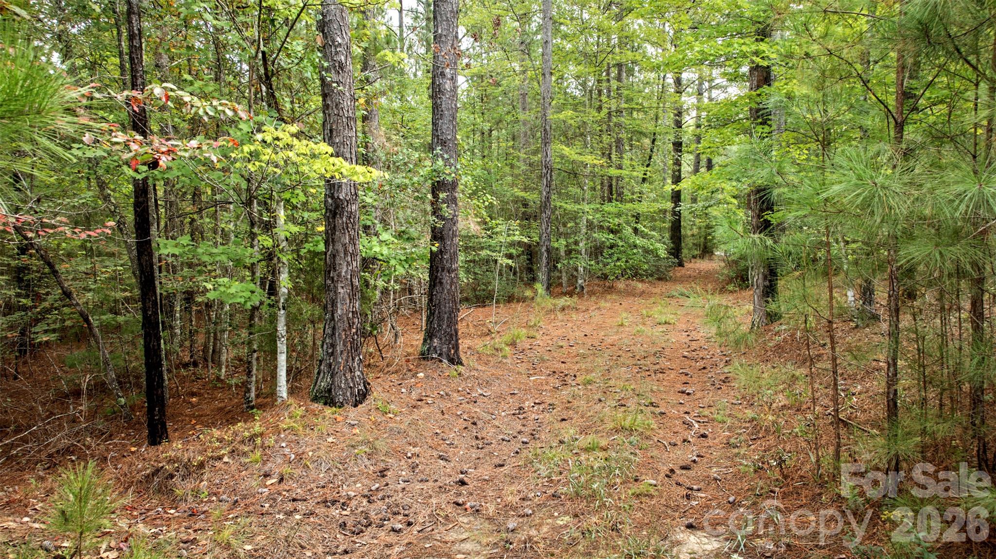 Lot at 0 River Park Lane, Mill Spring, photo 12 of 48