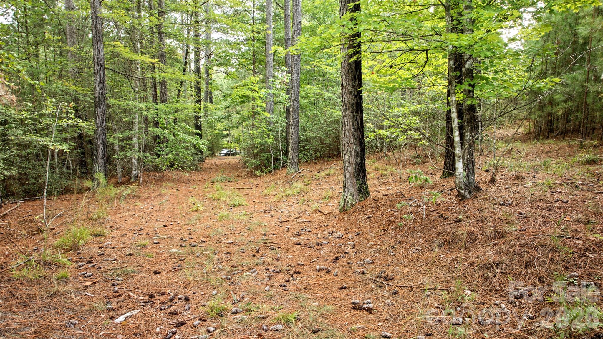 Lot at 0 River Park Lane, Mill Spring, photo 13 of 48