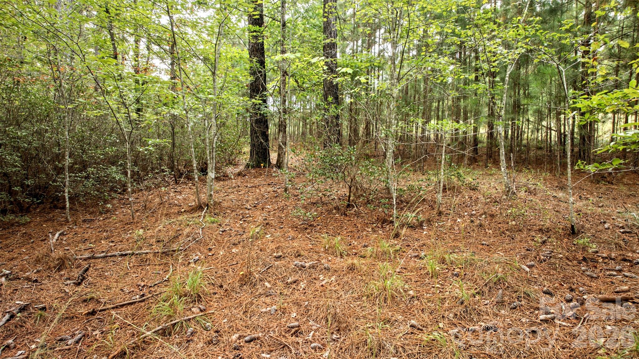 Lot at 0 River Park Lane, Mill Spring, photo 14 of 48