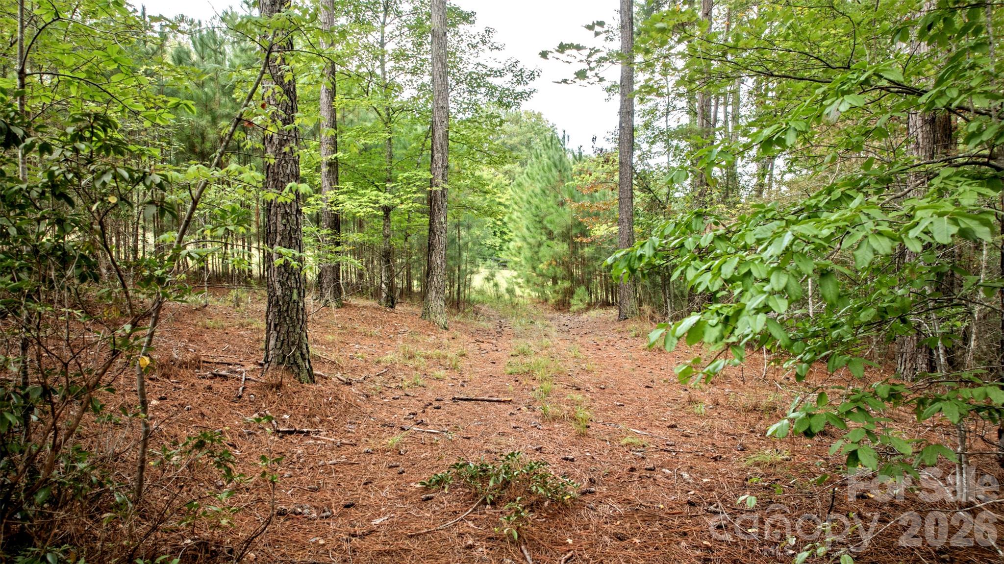 Lot at 0 River Park Lane, Mill Spring, photo 16 of 48