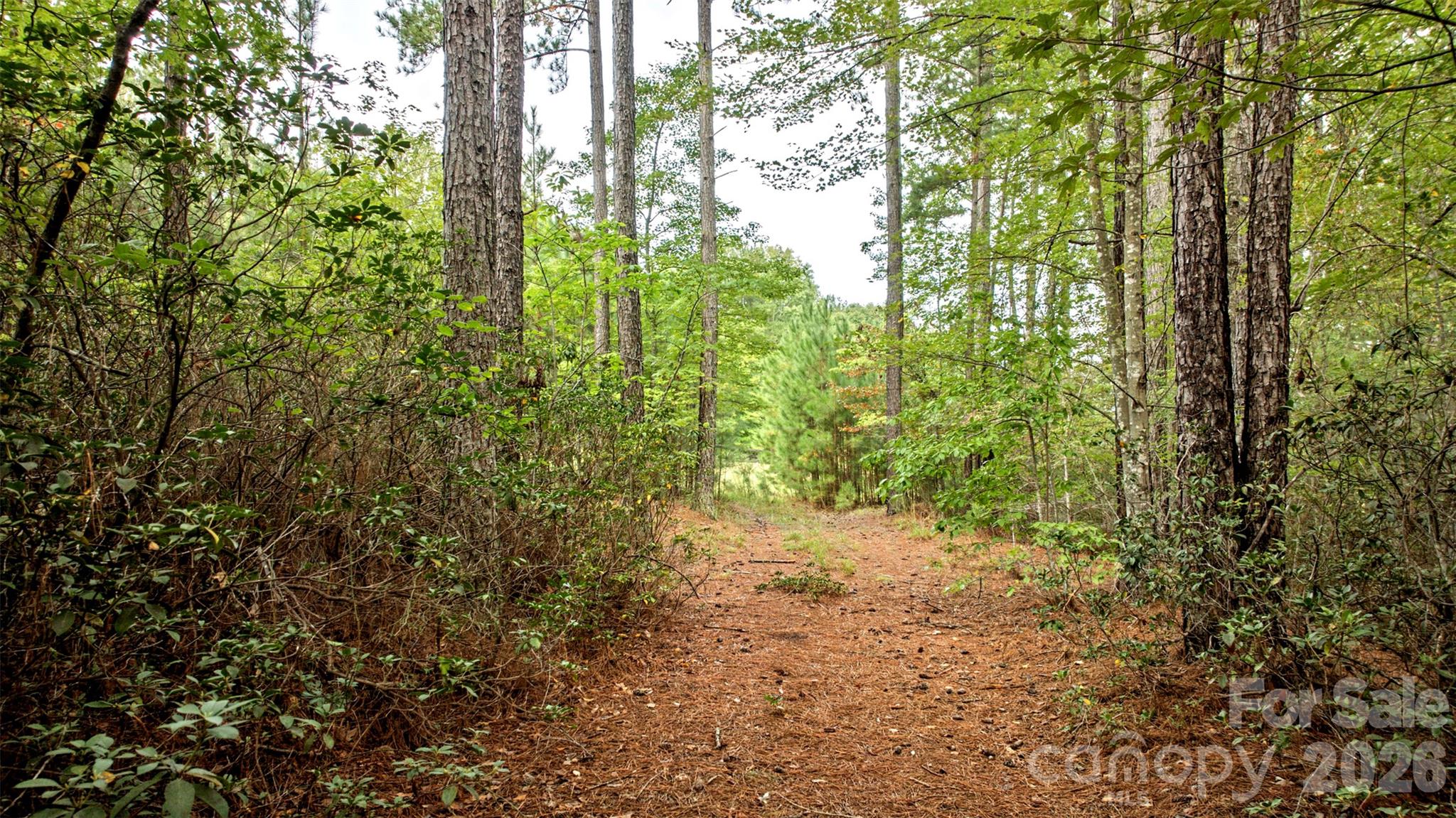 Lot at 0 River Park Lane, Mill Spring, photo 17 of 48