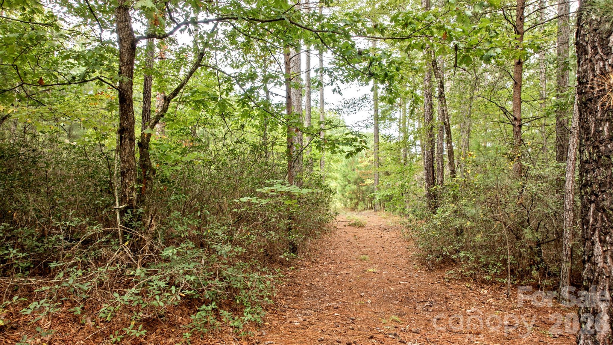 Lot at 0 River Park Lane, Mill Spring, photo 18 of 48