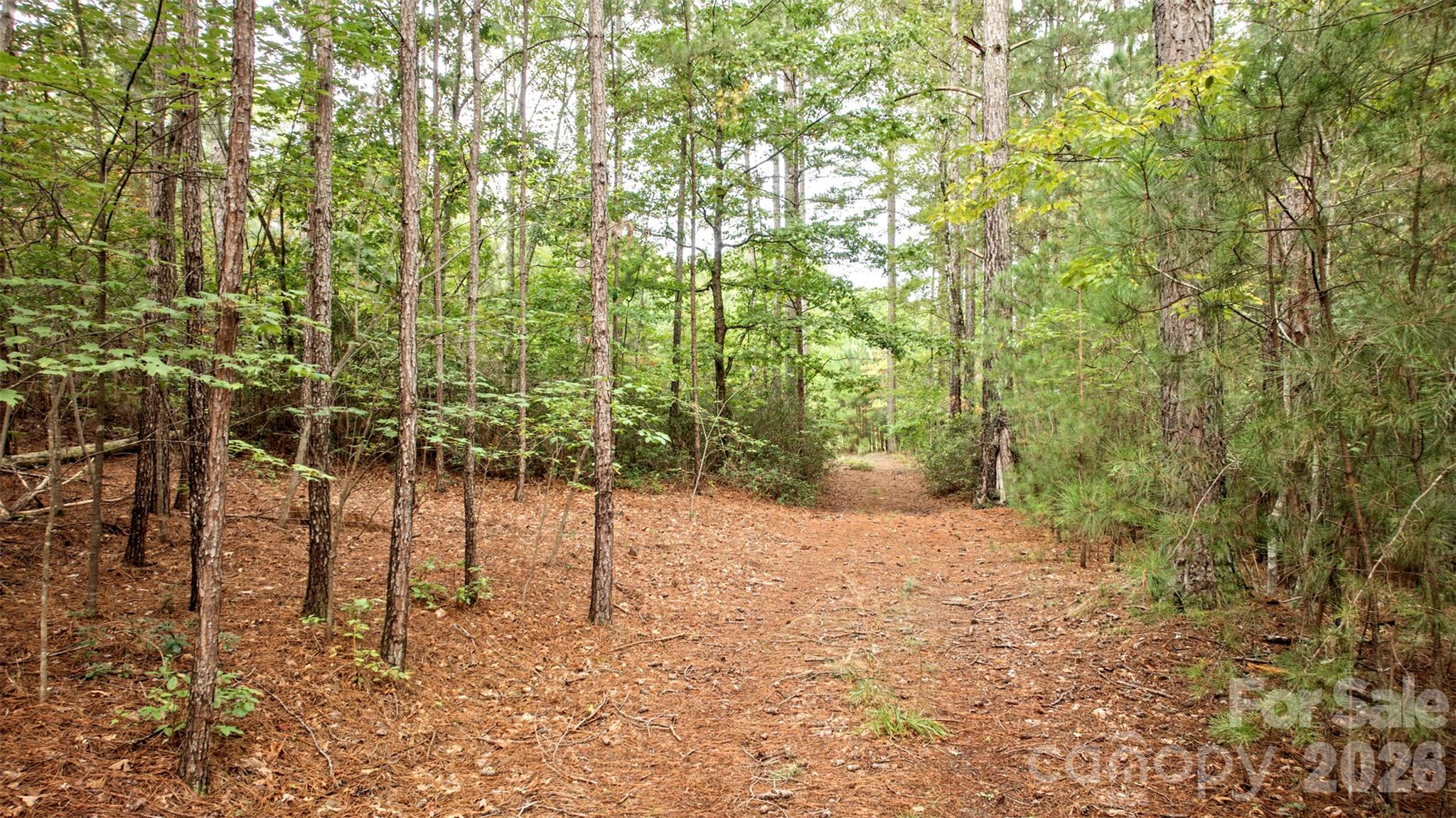 Lot at 0 River Park Lane, Mill Spring, photo 19 of 48