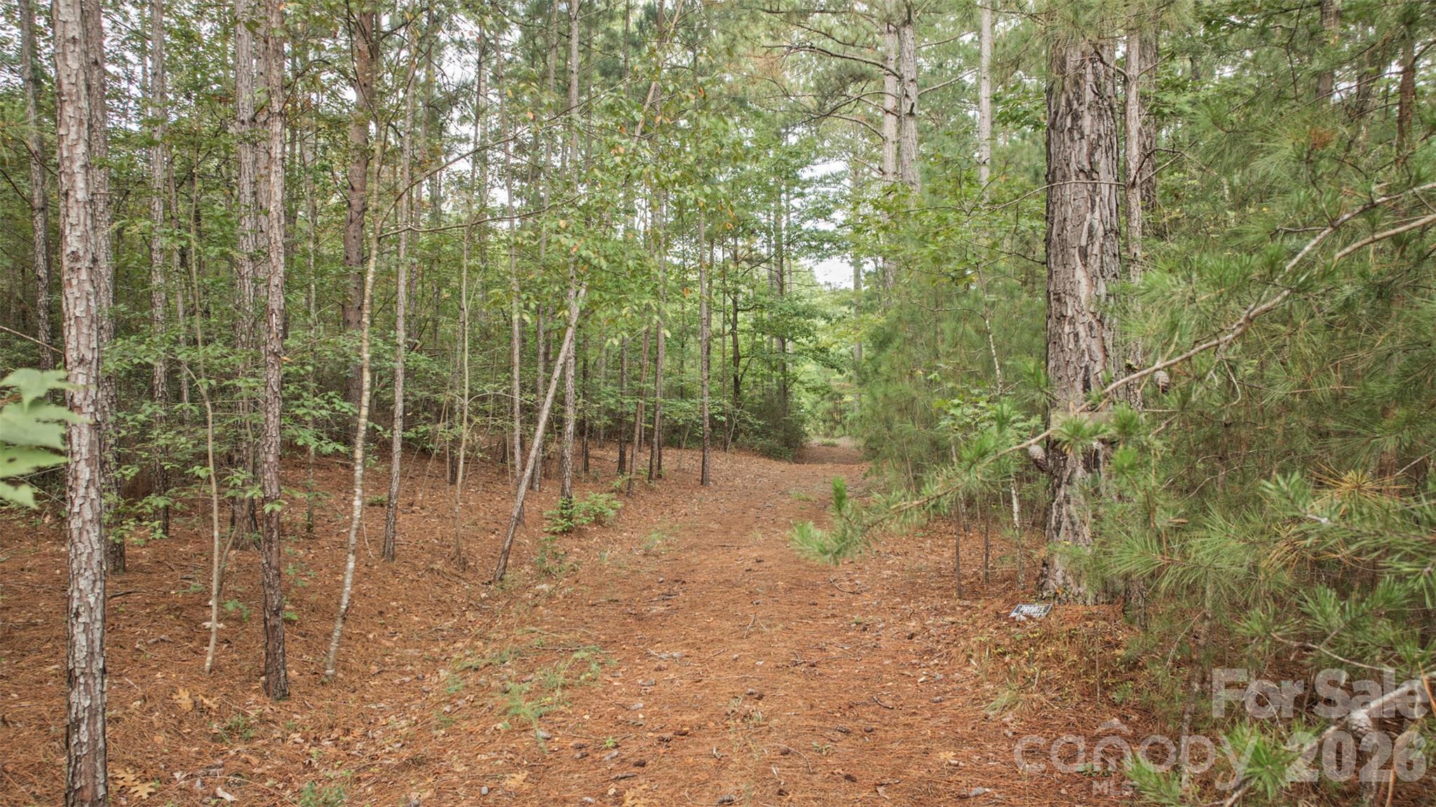Lot at 0 River Park Lane, Mill Spring, photo 20 of 48