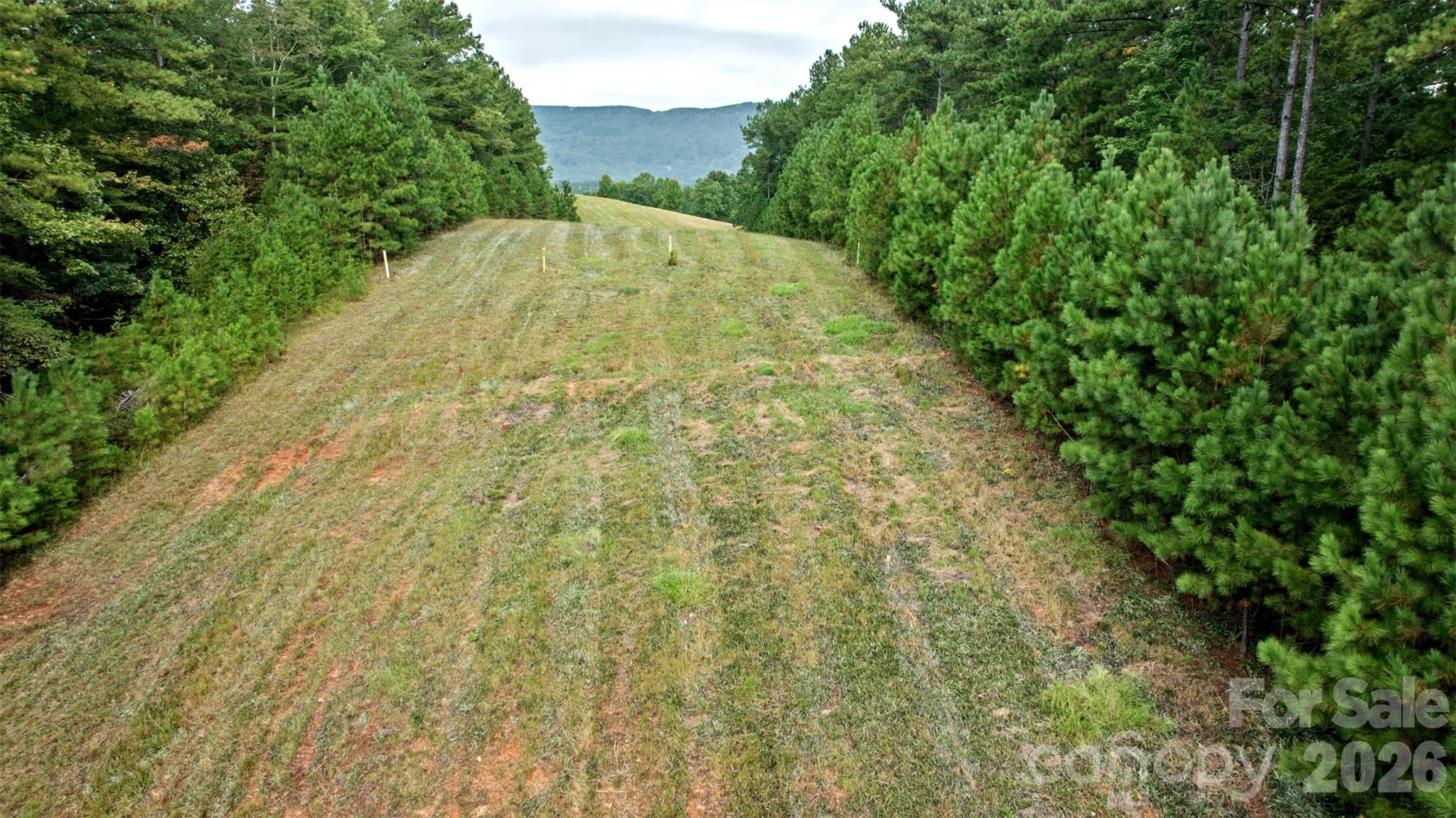 Lot at 0 River Park Lane, Mill Spring, photo 21 of 48