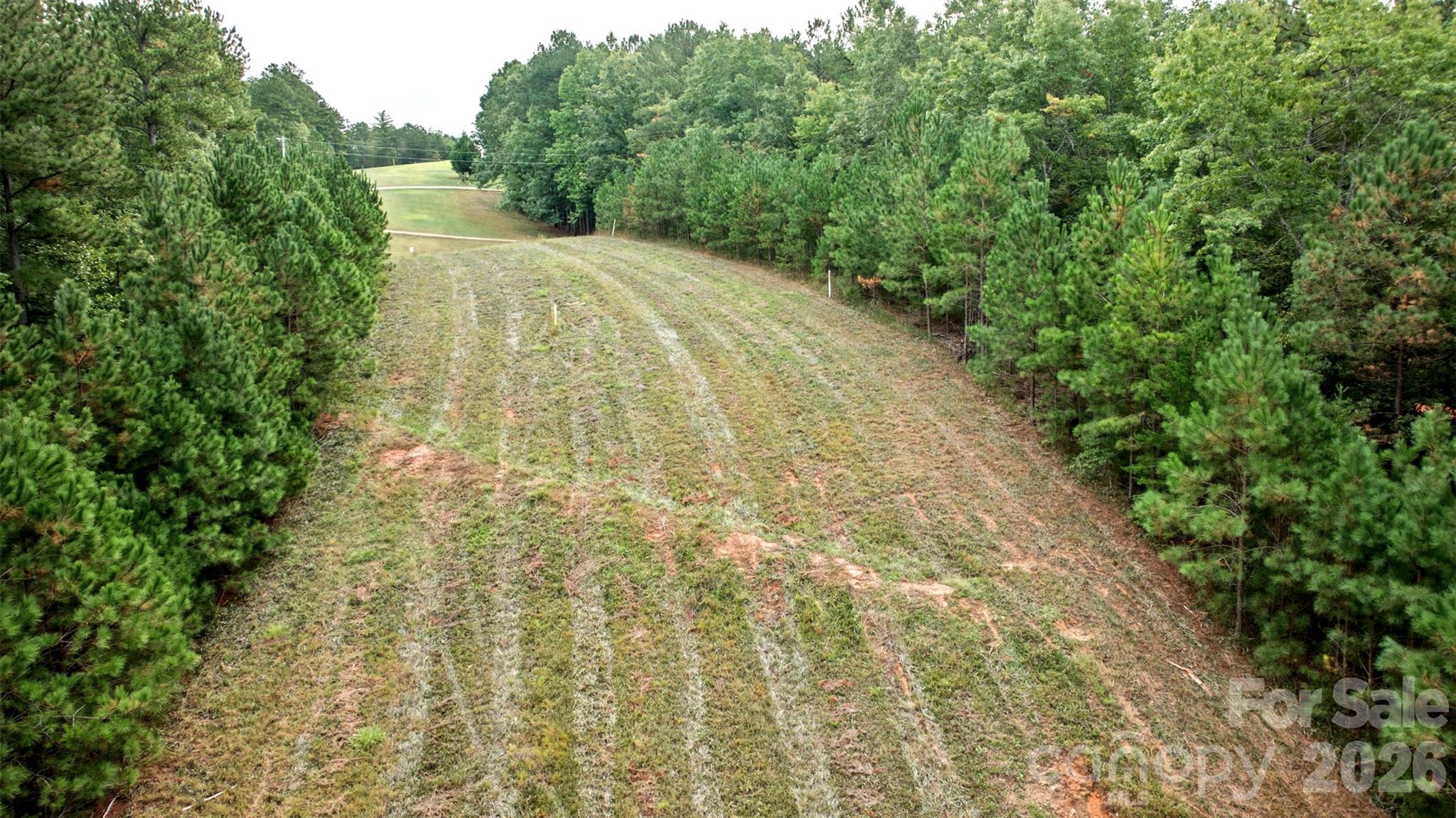 Lot at 0 River Park Lane, Mill Spring, photo 22 of 48
