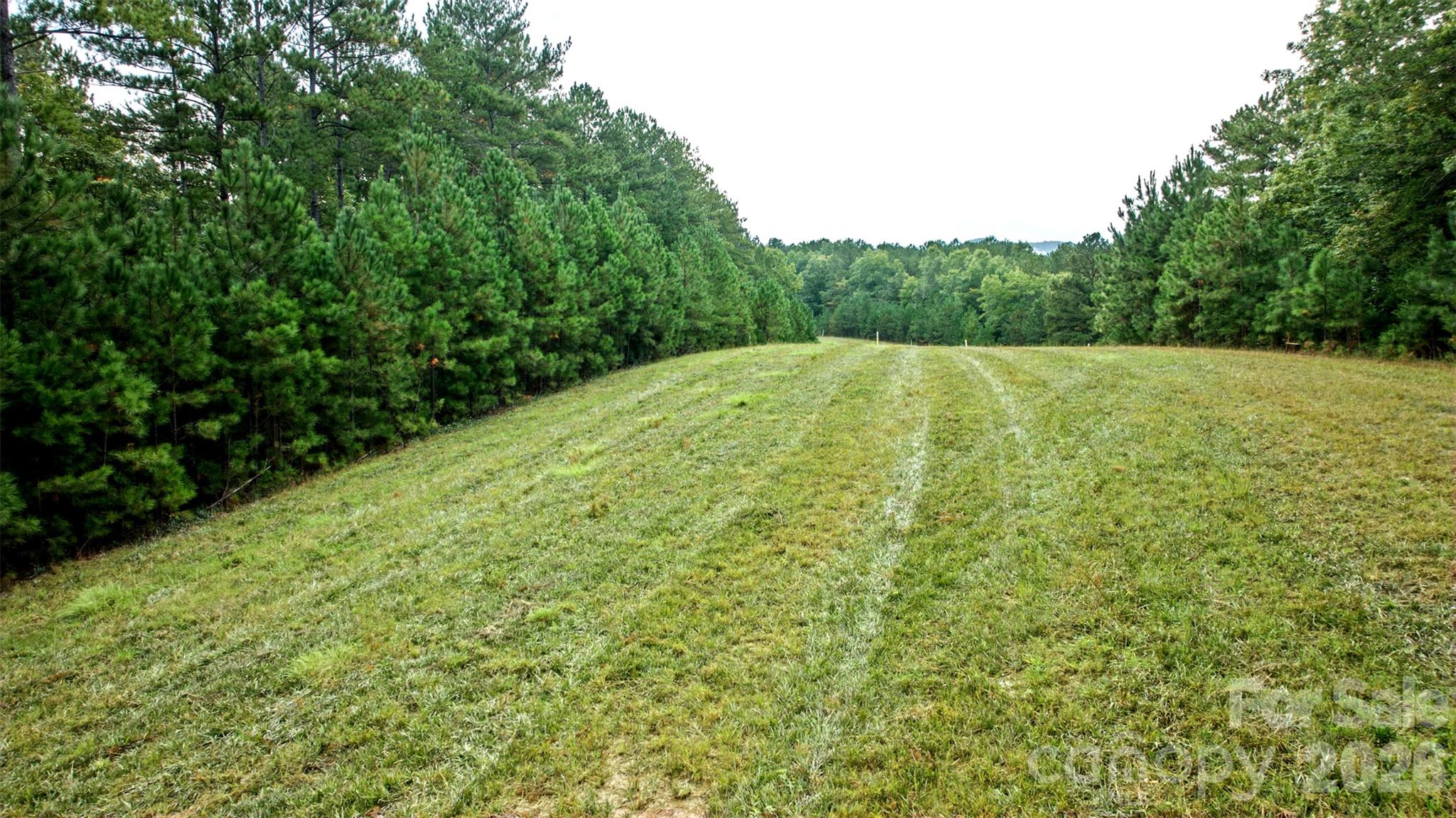 Lot at 0 River Park Lane, Mill Spring, photo 23 of 48