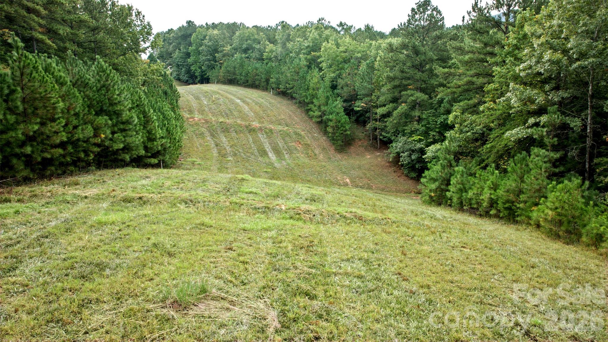 Lot at 0 River Park Lane, Mill Spring, photo 24 of 48