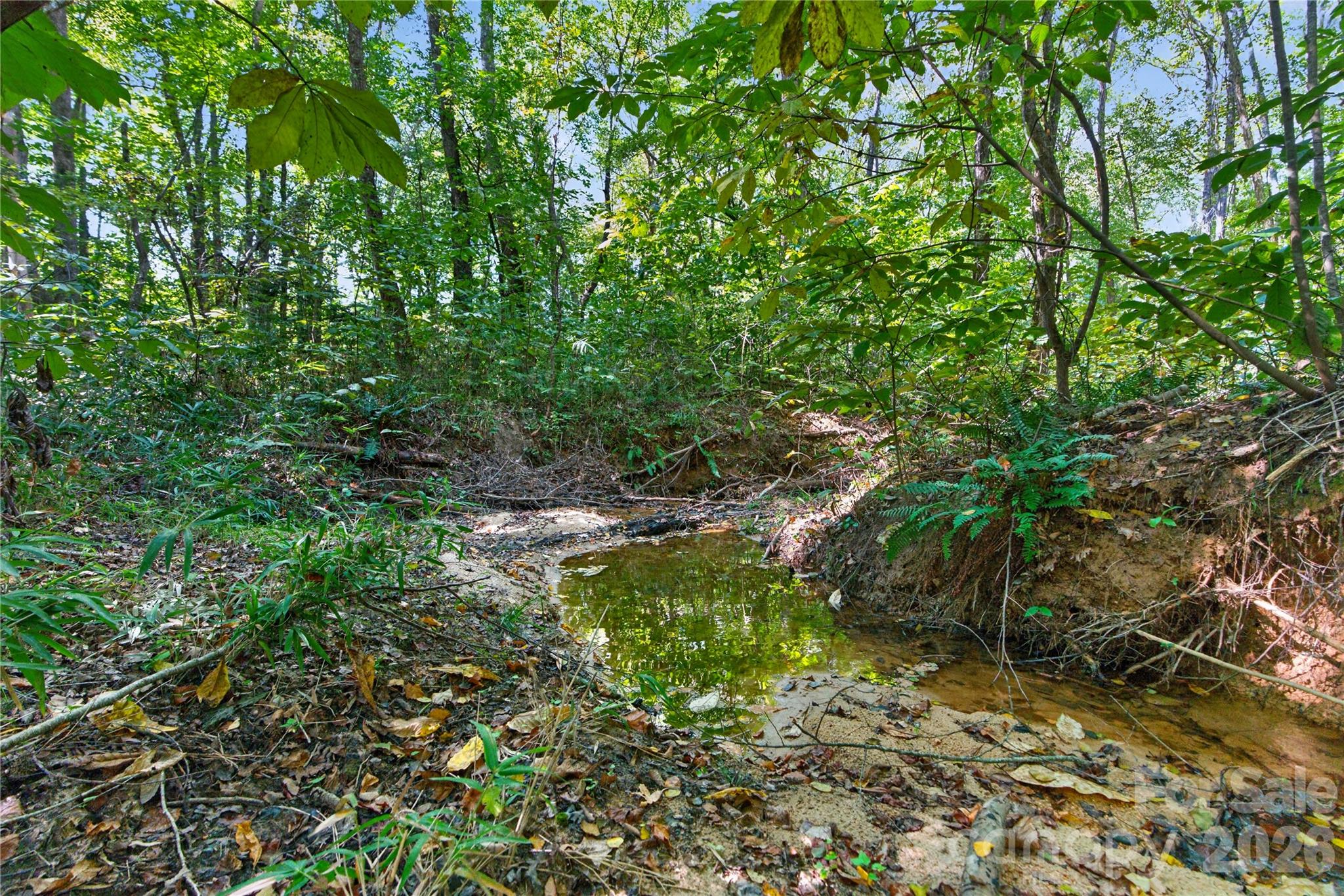 creek and hardwoods along the northern border of the property - 0000 Narrow Bridge Road, Chester