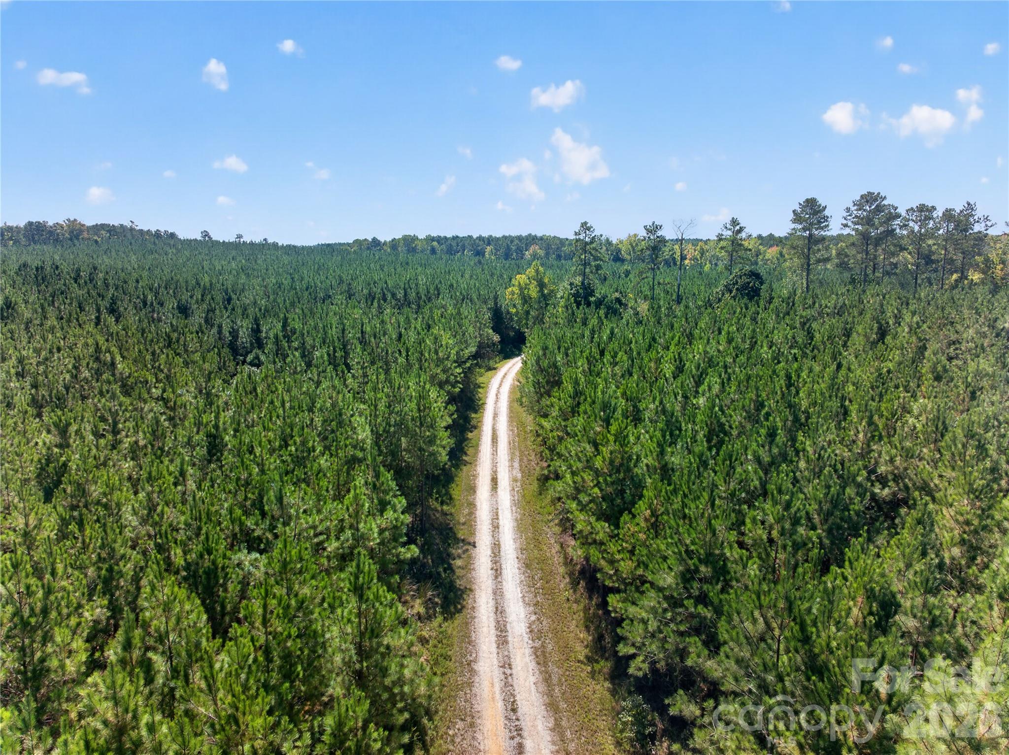 Acreage at 0000 Narrow Bridge Road, Chester, photo 7 of 36