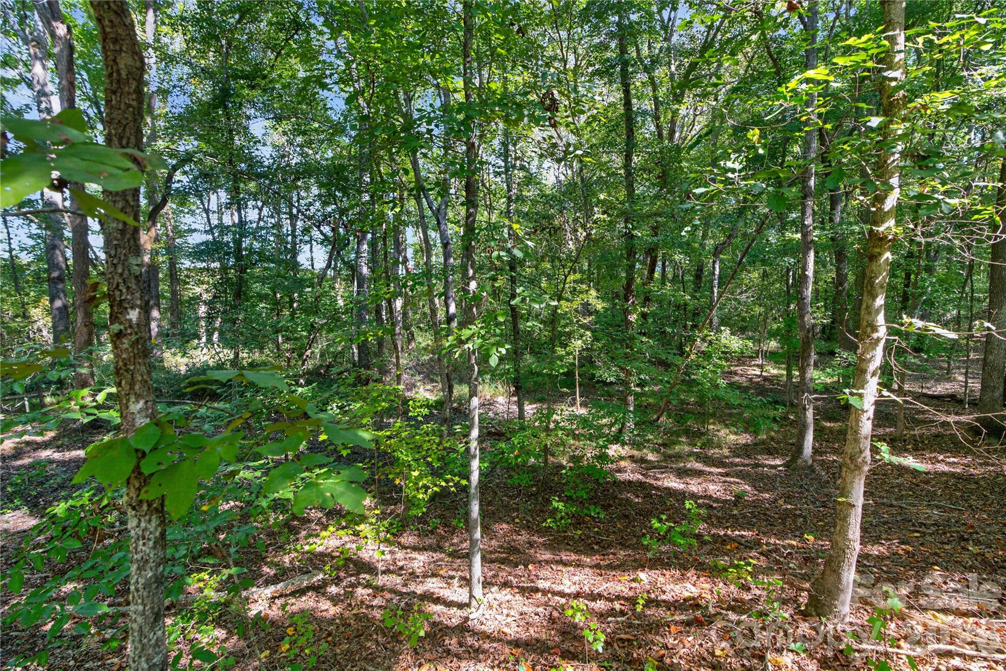 Acreage at 0000 Narrow Bridge Road, Chester, photo 8 of 36