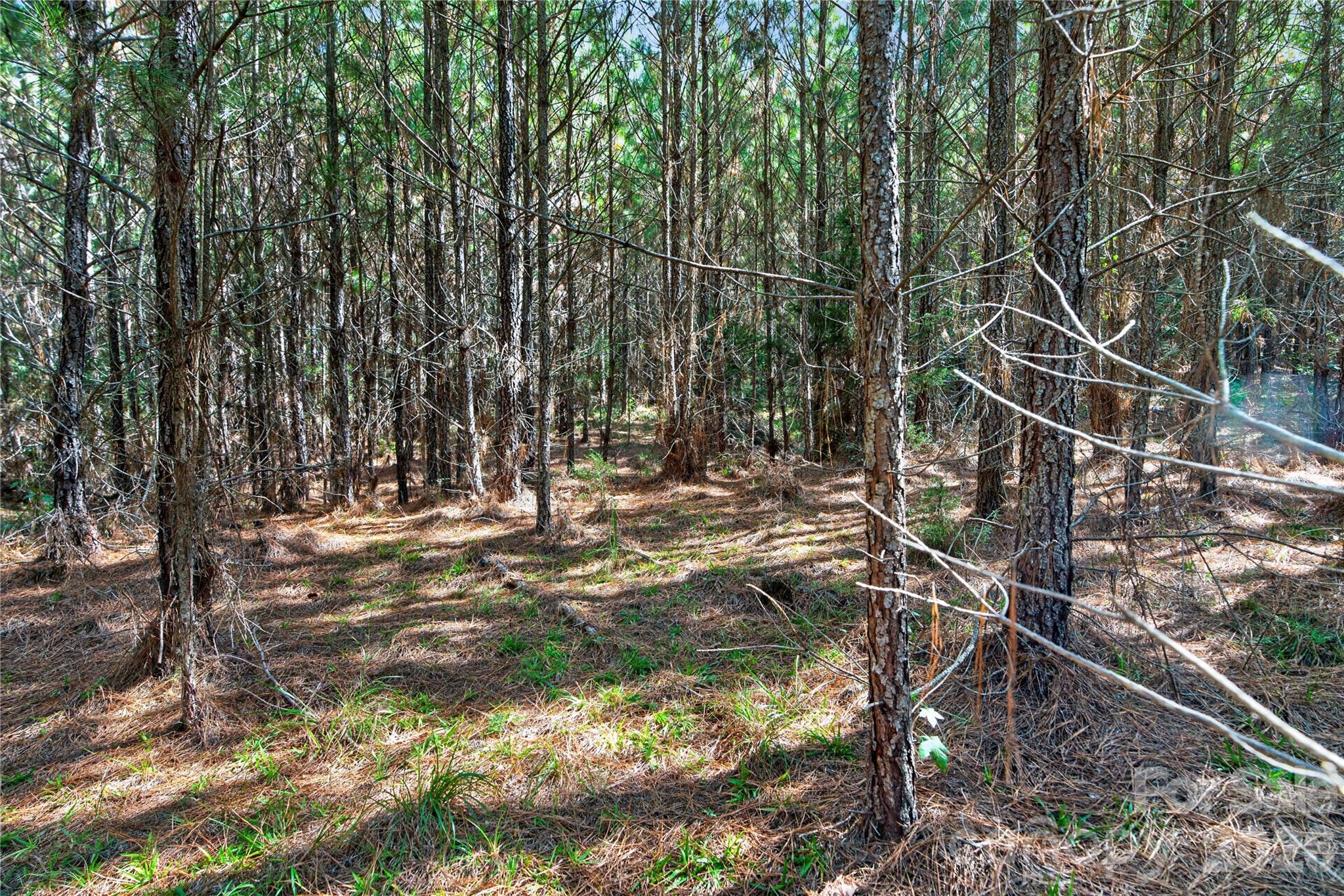 Acreage at 0000 Narrow Bridge Road, Chester, photo 9 of 36