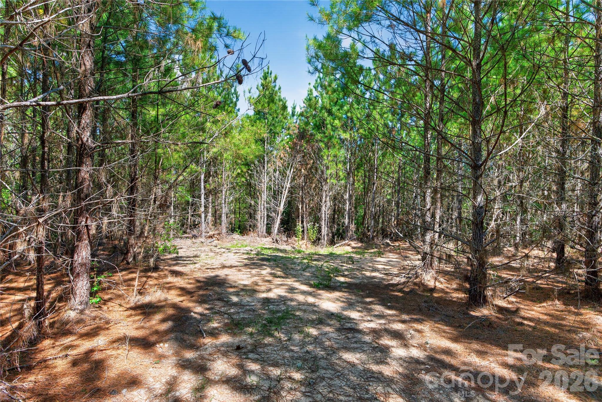 Acreage at 0000 Narrow Bridge Road, Chester, photo 13 of 36