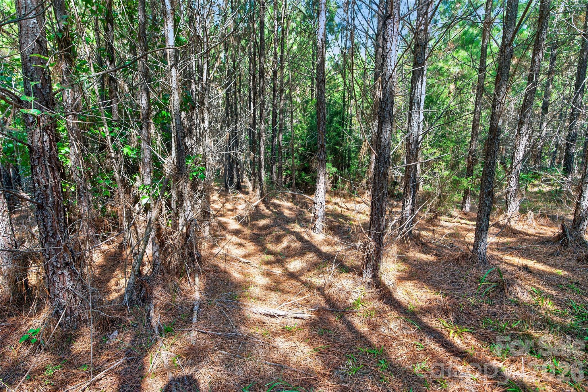 Acreage at 0000 Narrow Bridge Road, Chester, photo 15 of 36