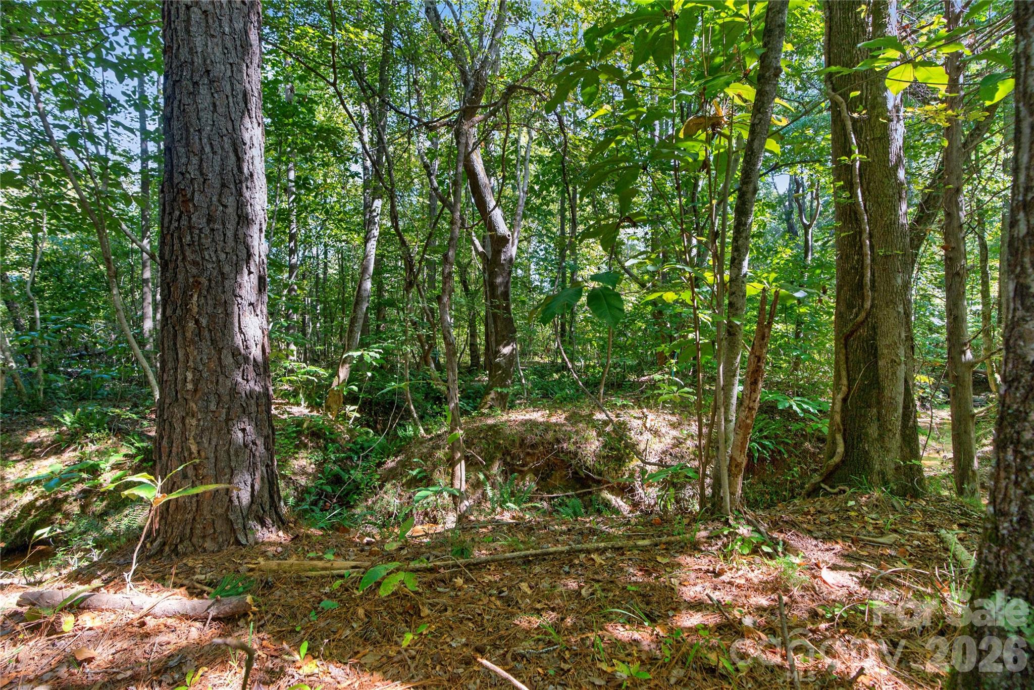 Acreage at 0000 Narrow Bridge Road, Chester, photo 16 of 36