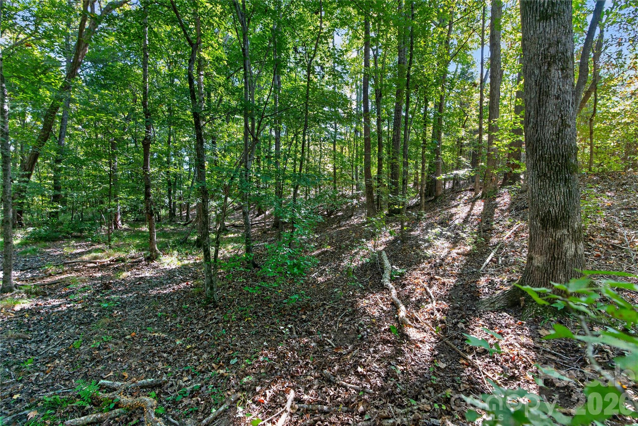 Acreage at 0000 Narrow Bridge Road, Chester, photo 20 of 36