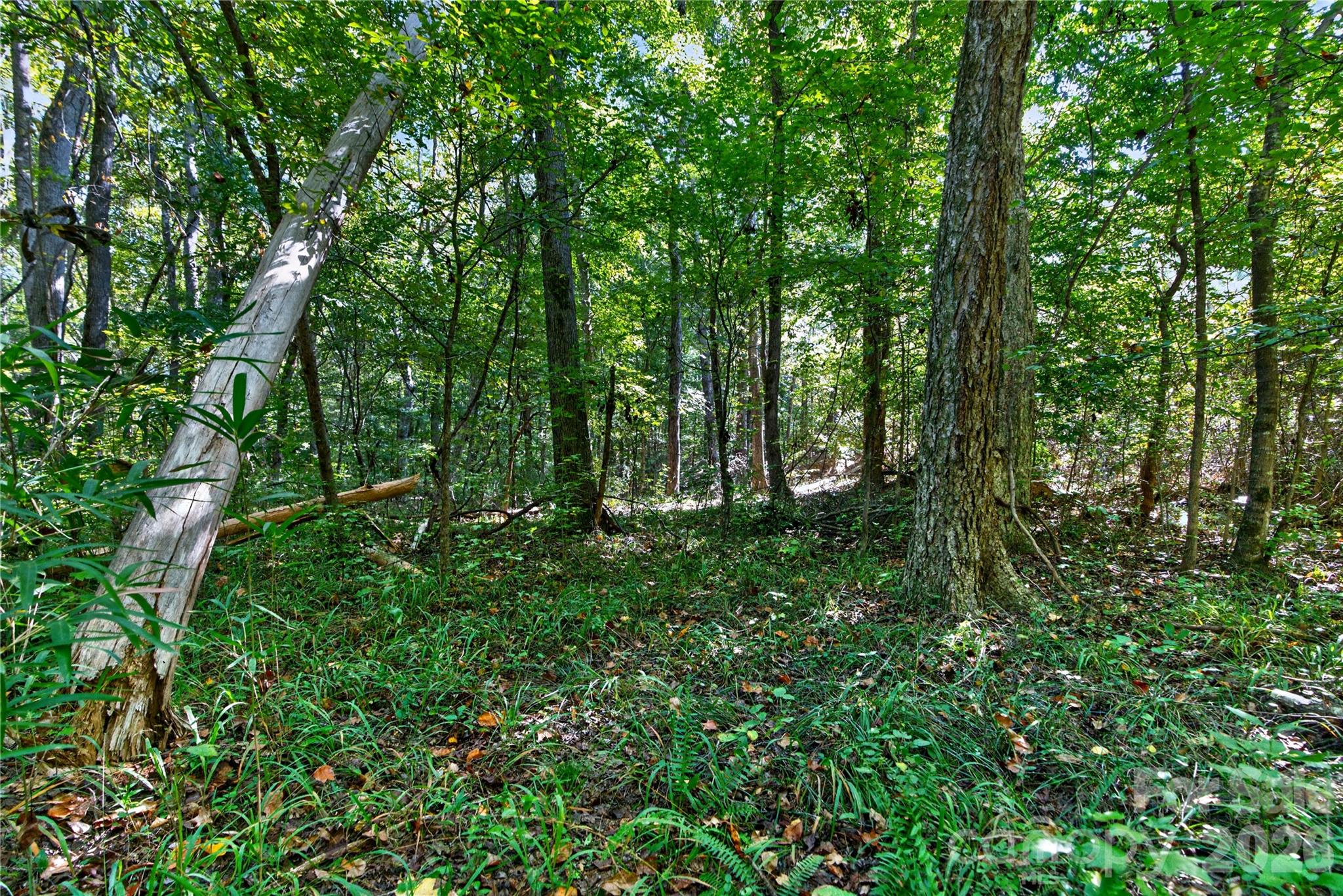 Acreage at 0000 Narrow Bridge Road, Chester, photo 22 of 36