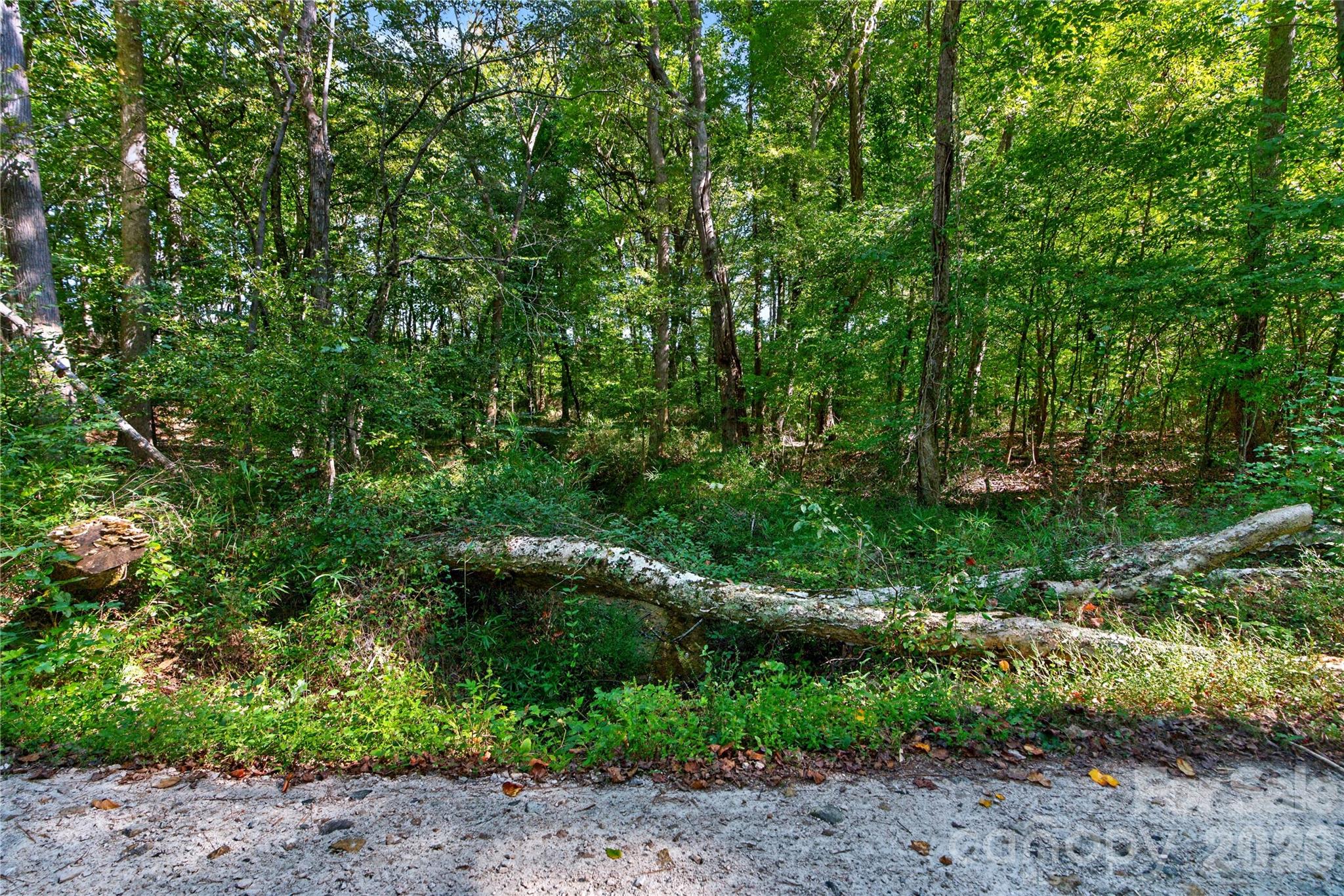 Acreage at 0000 Narrow Bridge Road, Chester, photo 25 of 36