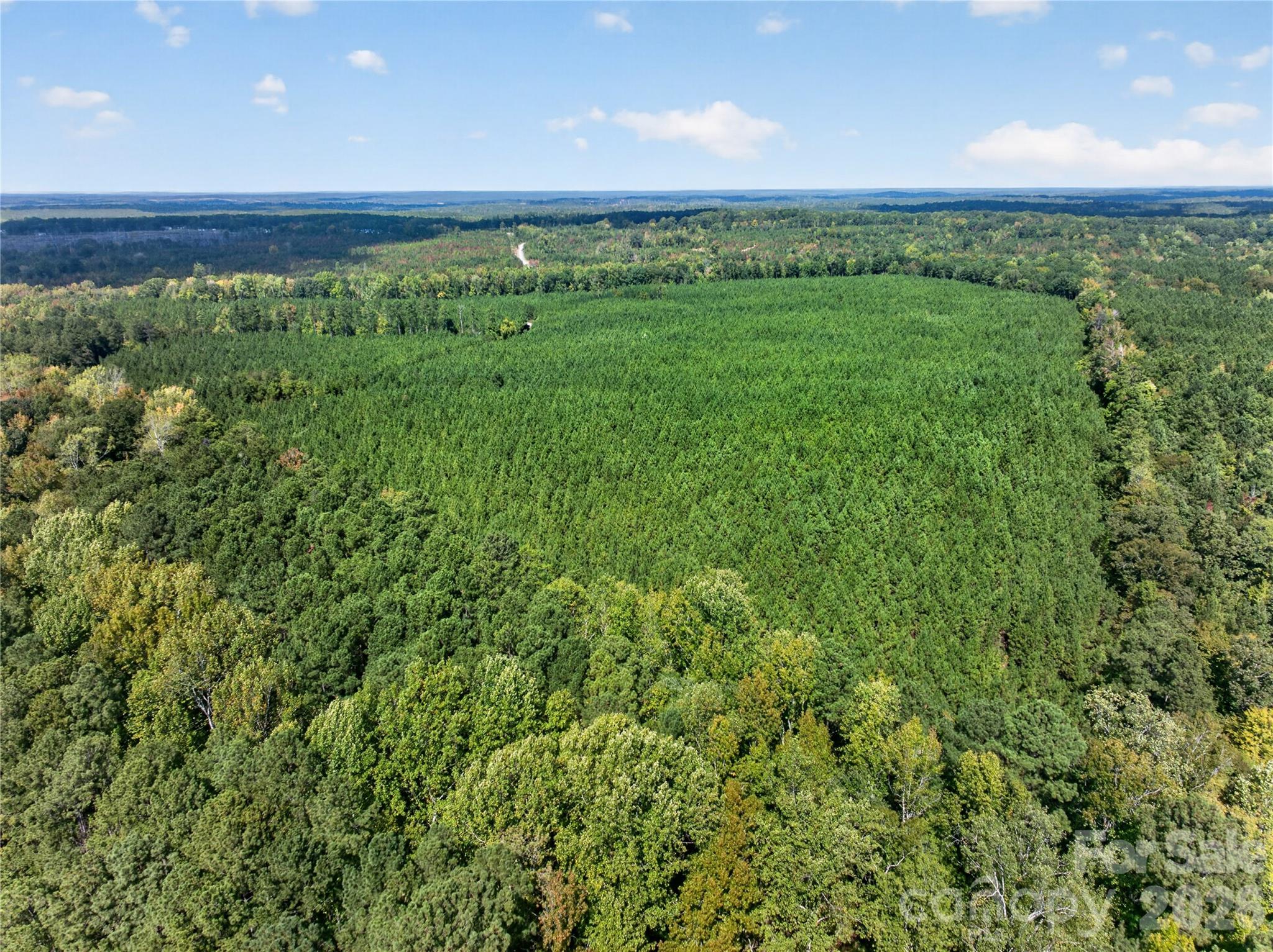 Acreage at 0000 Narrow Bridge Road, Chester, photo 27 of 36