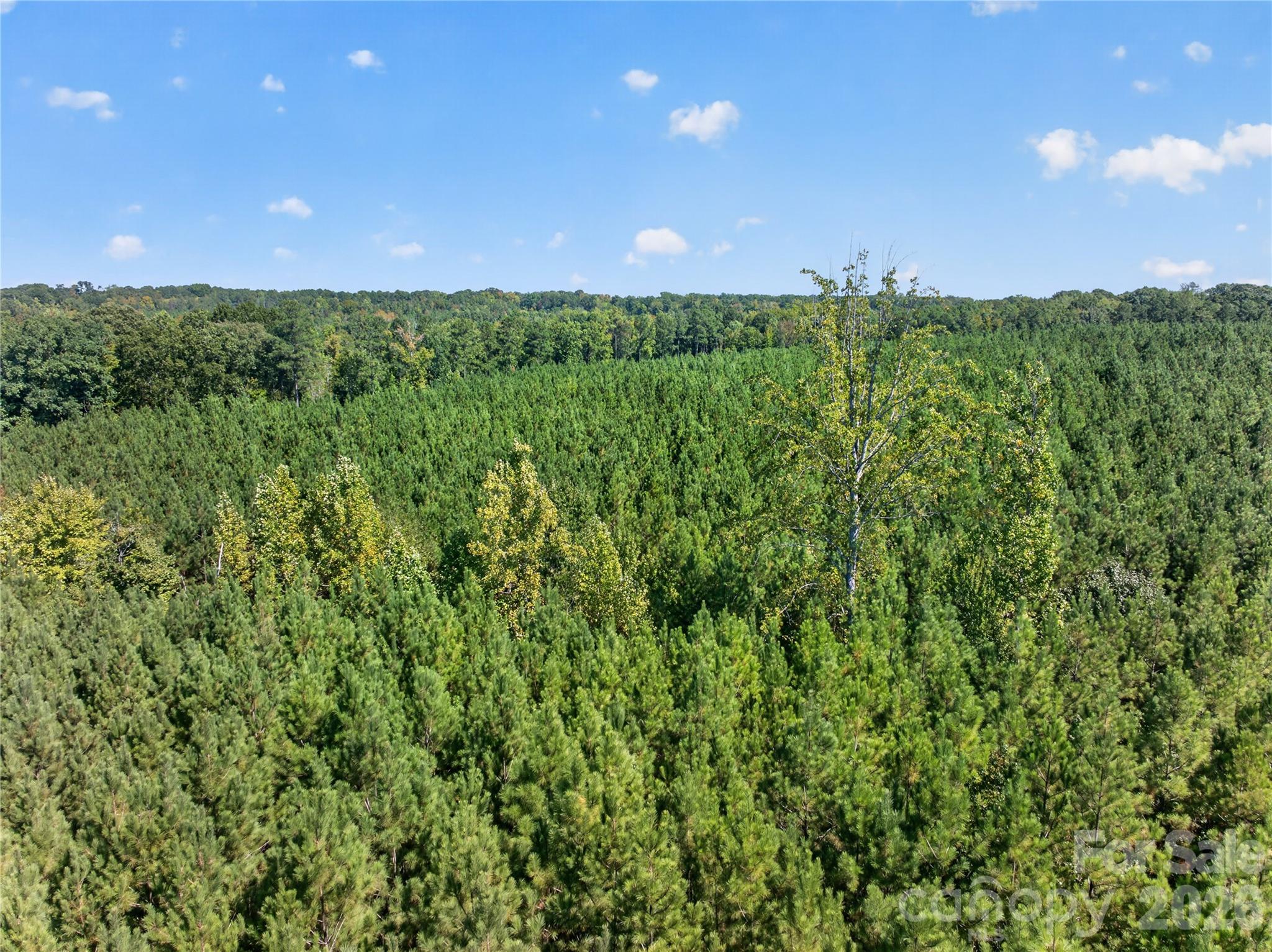 Acreage at 0000 Narrow Bridge Road, Chester, photo 28 of 36