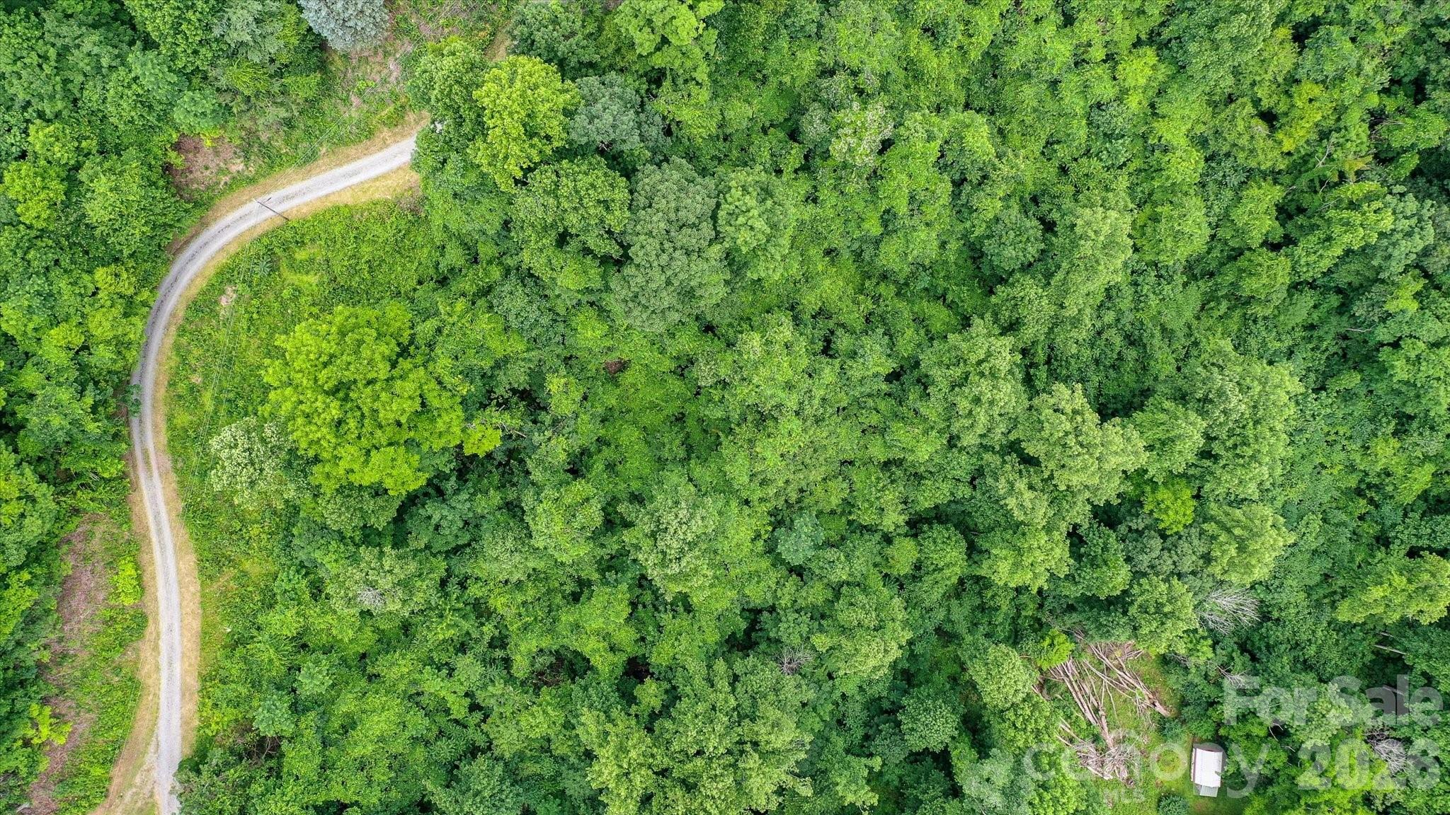 Lot at 99999 Secluded Valley Road, Marshall, photo 8 of 21
