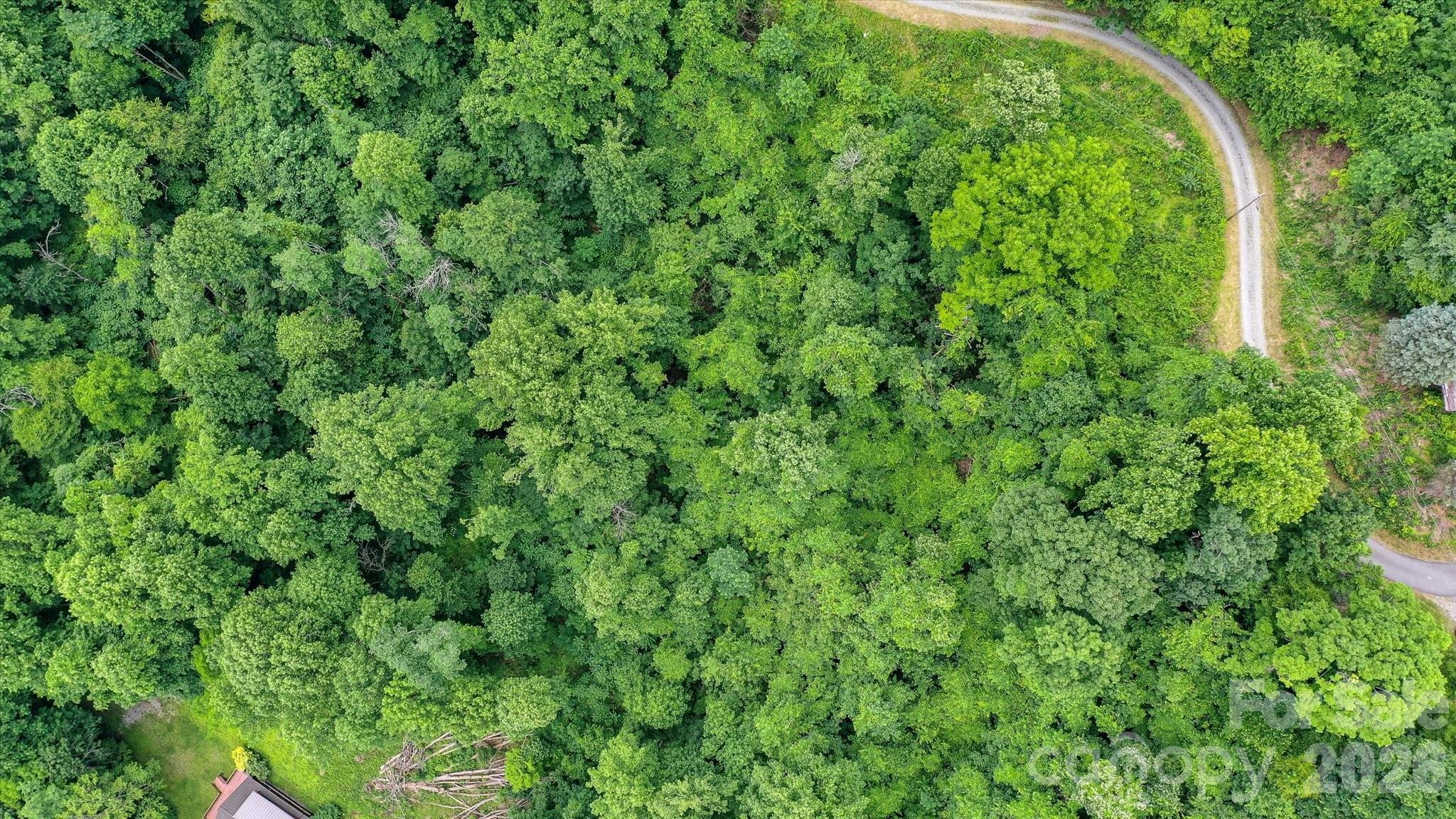 Lot at 99999 Secluded Valley Road, Marshall, photo 11 of 21