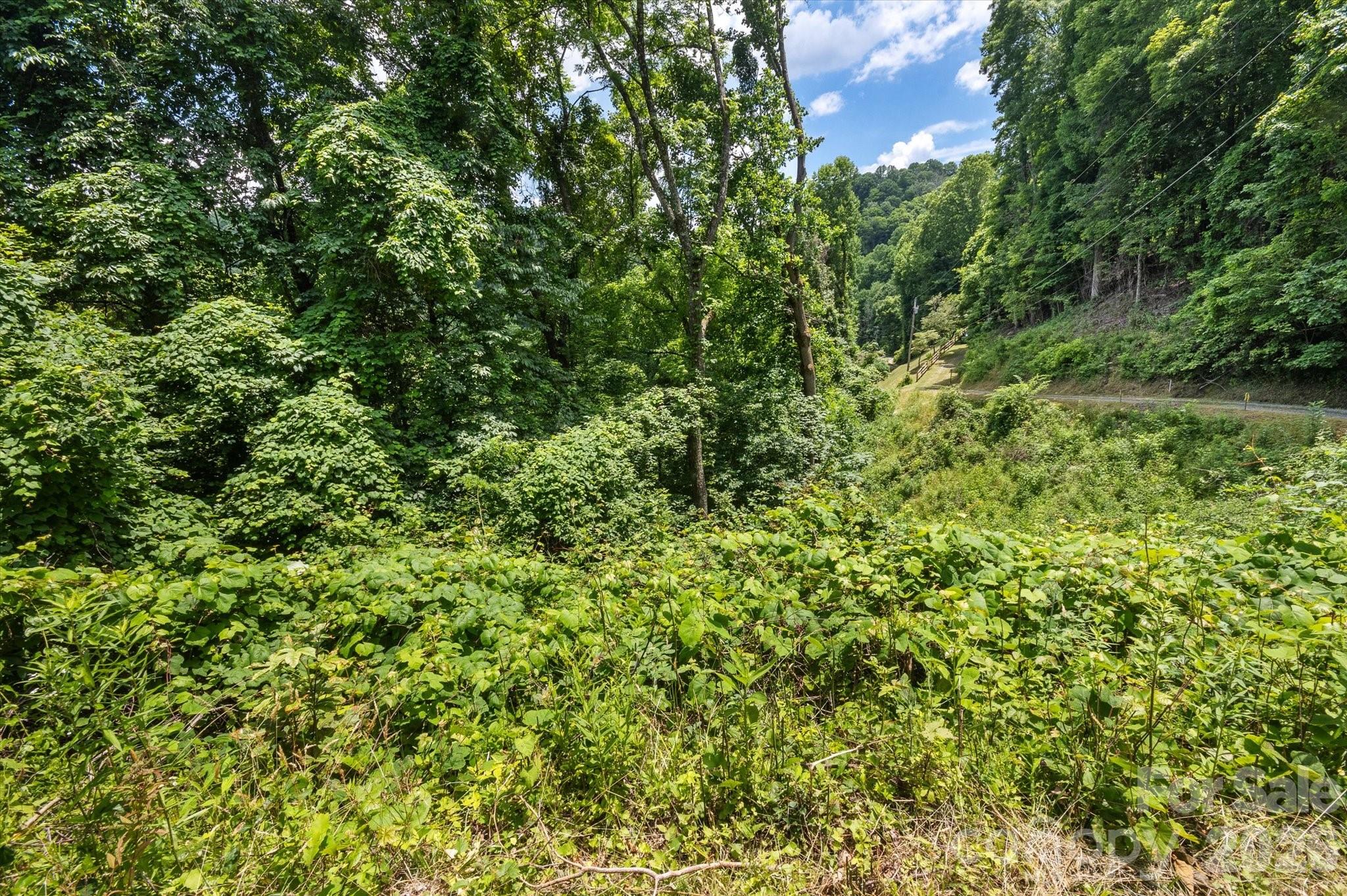 Lot at 99999 Secluded Valley Road, Marshall, photo 13 of 21