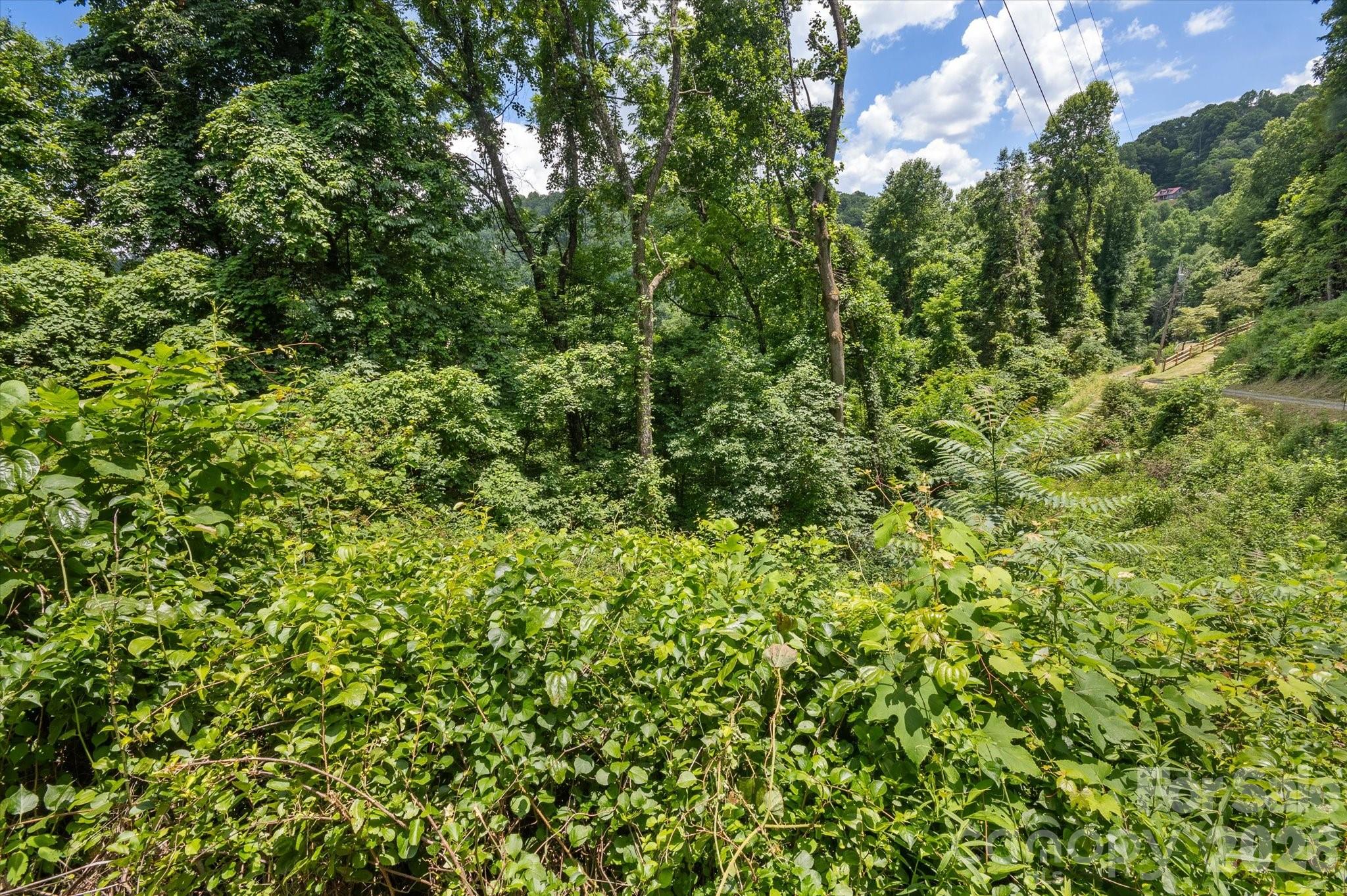 Lot at 99999 Secluded Valley Road, Marshall, photo 14 of 21